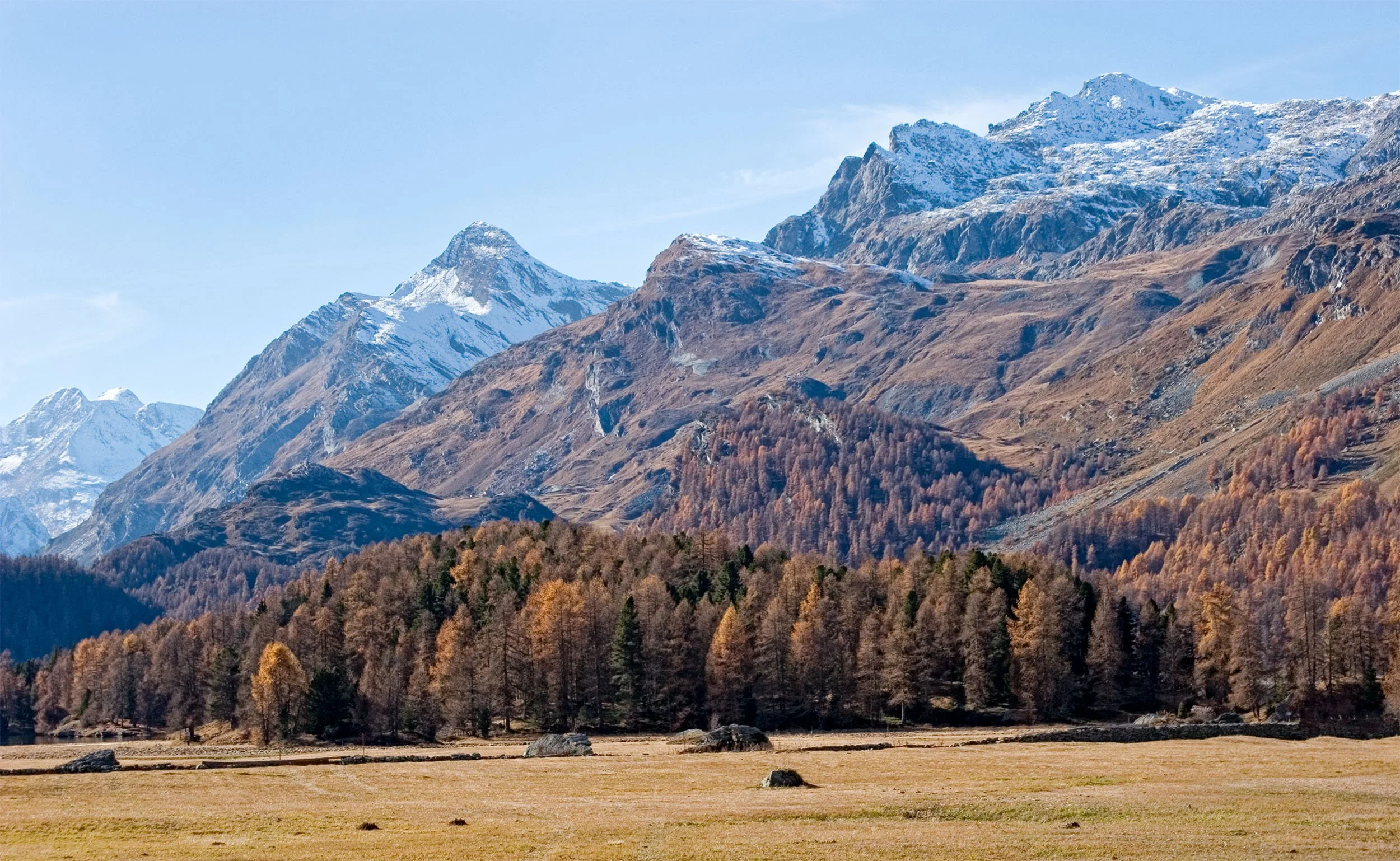 Autumn Forest Swiss Alps, St. Moritz, Switzerland 2006