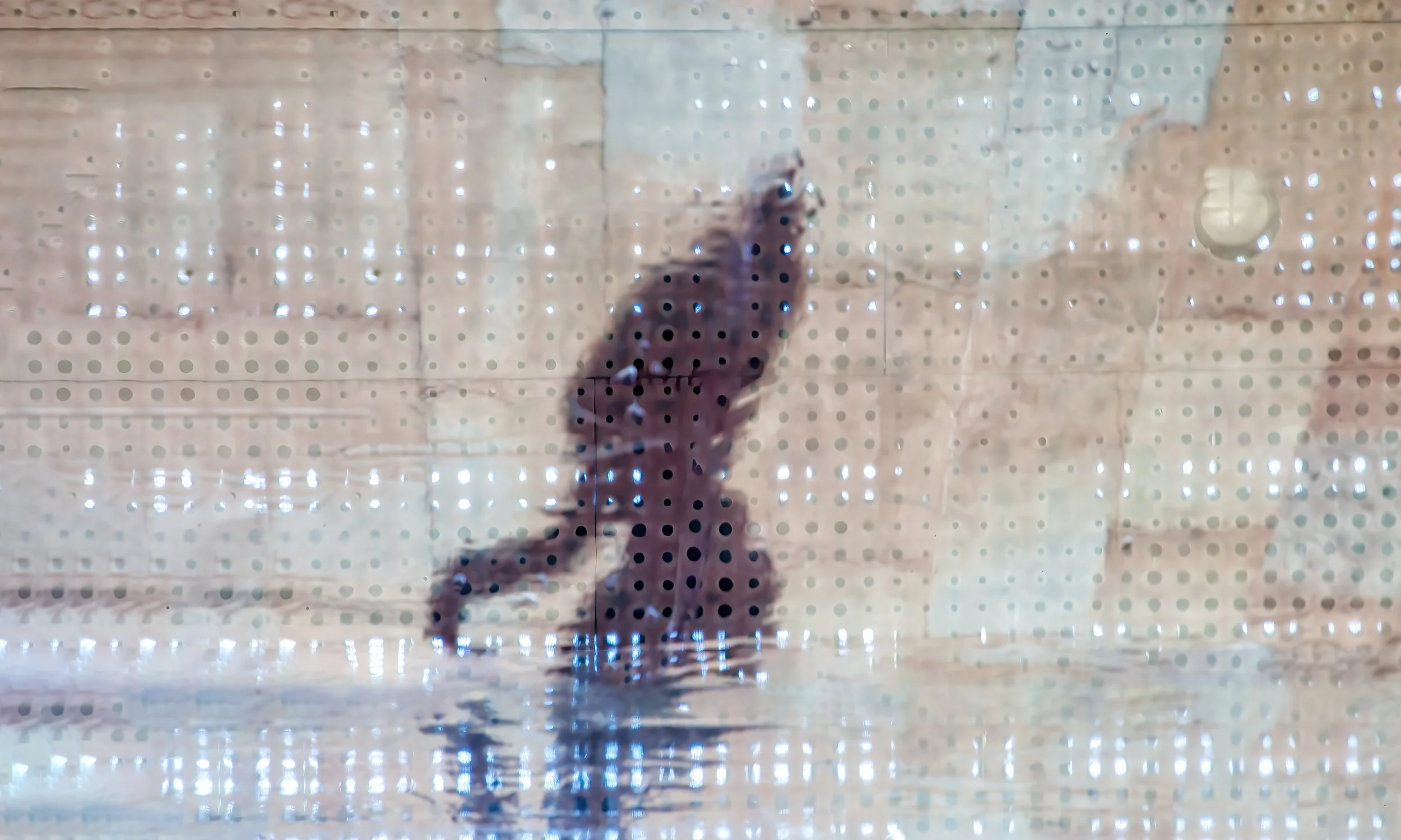 A dark silhouette mirrored over the textured exterior of the de Young Museum, San Francisco — from Ken Holden's Unaltered State of Reality collection.