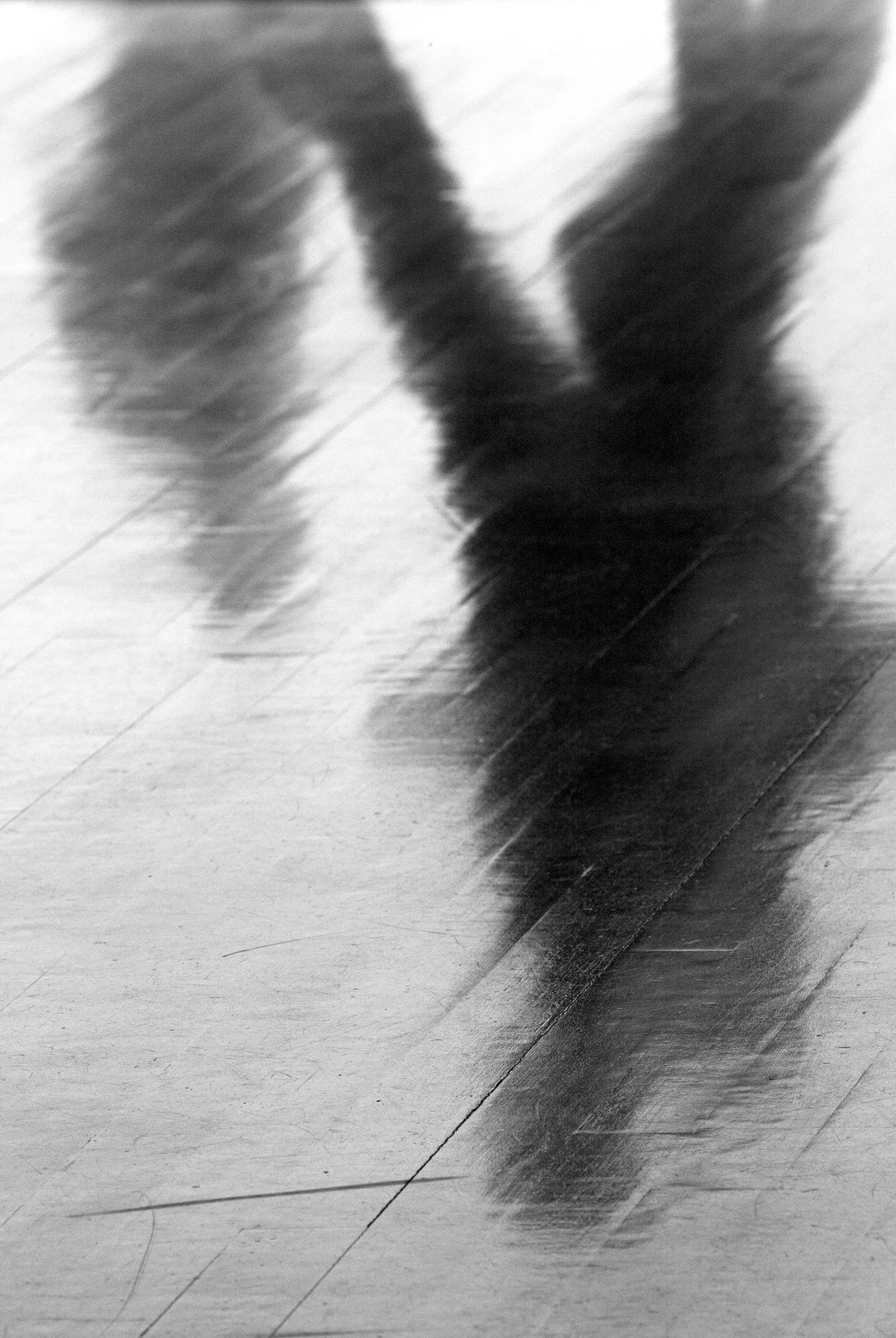 Visitor Silhouettes off the Gallery Floor, 2008