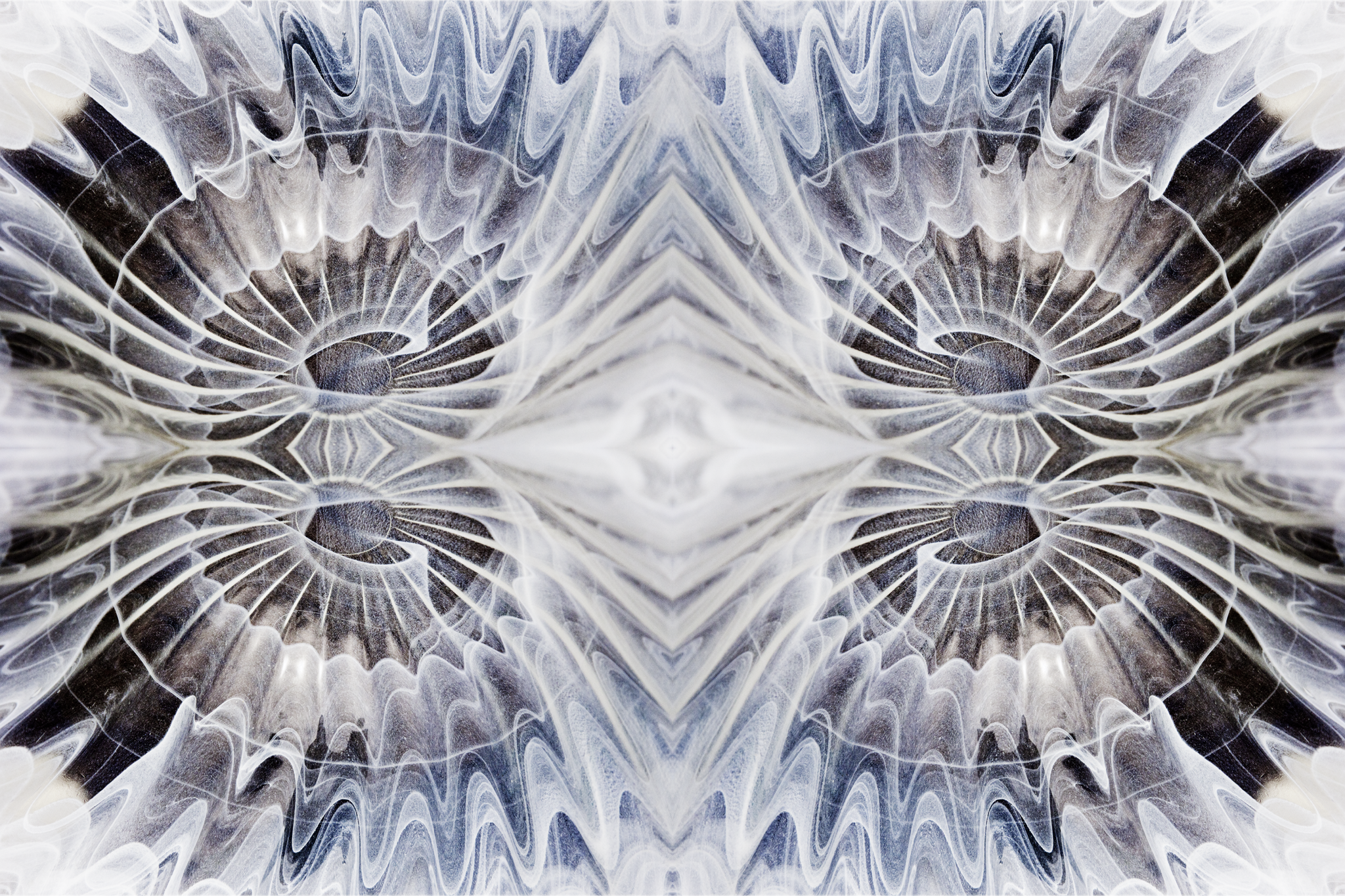 Abstraction in Space, 2011