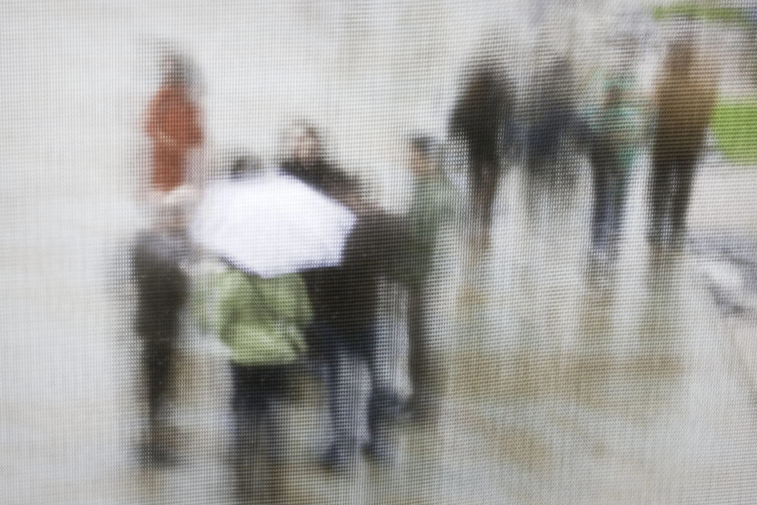 Visitor Group Gathering in the Rain at the de Young, 2010