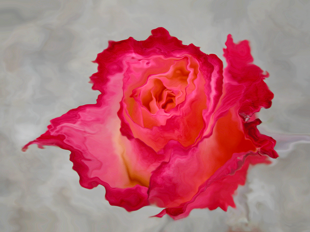 Red Flame of the Heart, 2004