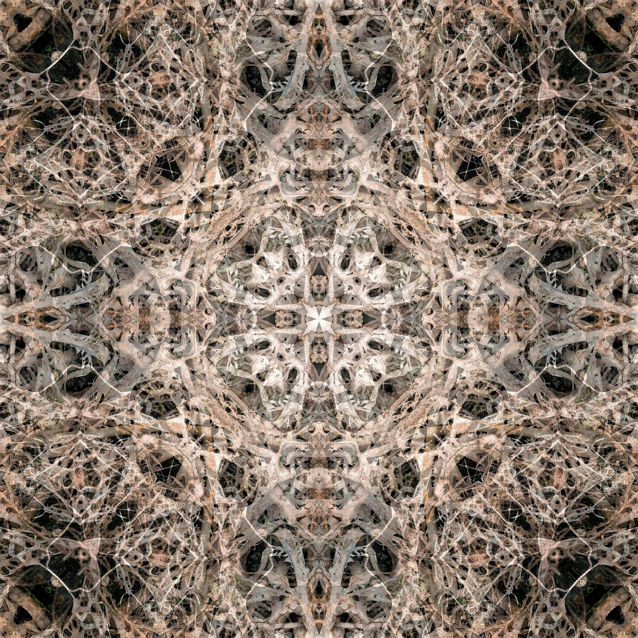 Photo-Anagram VIII, 2008