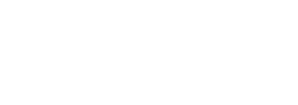 Lignum Medical