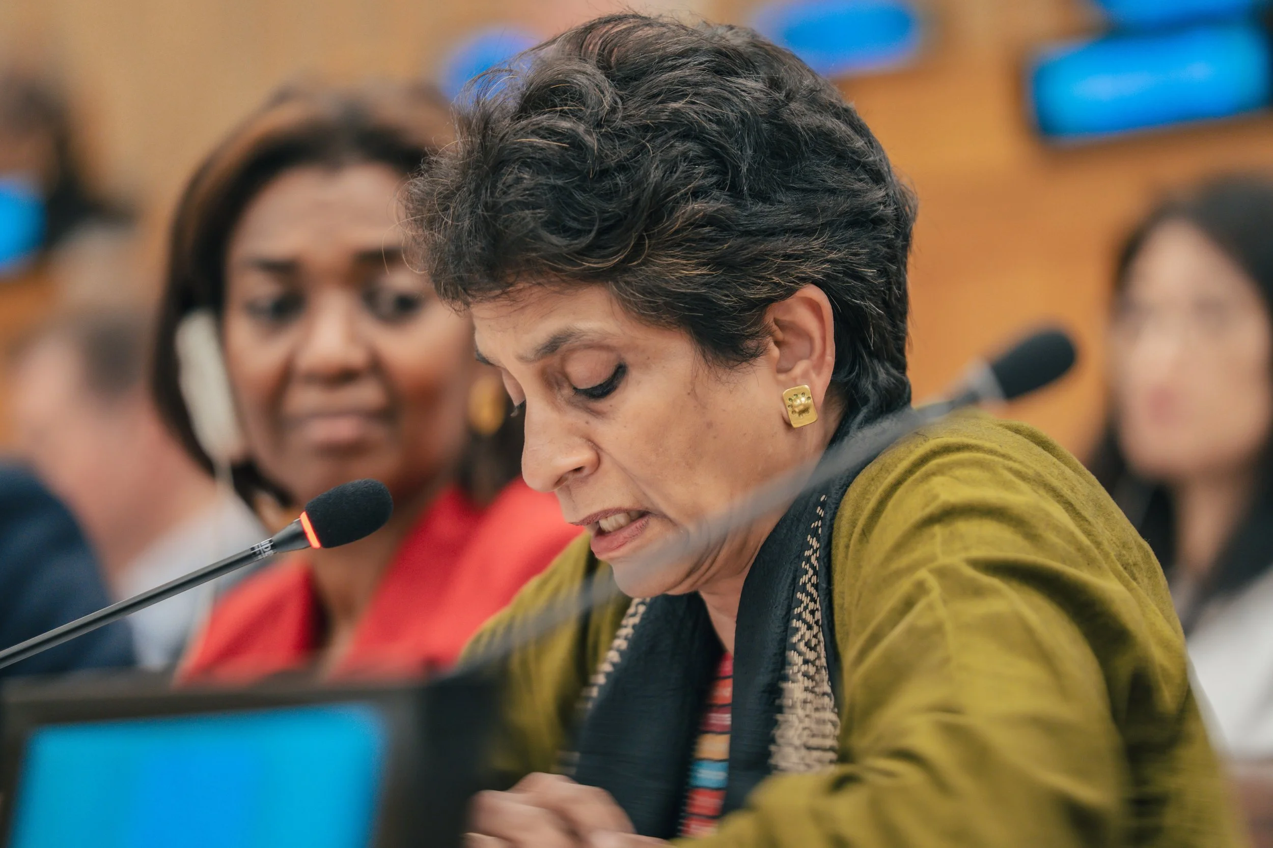 UN Pm org 2025_233.jpg