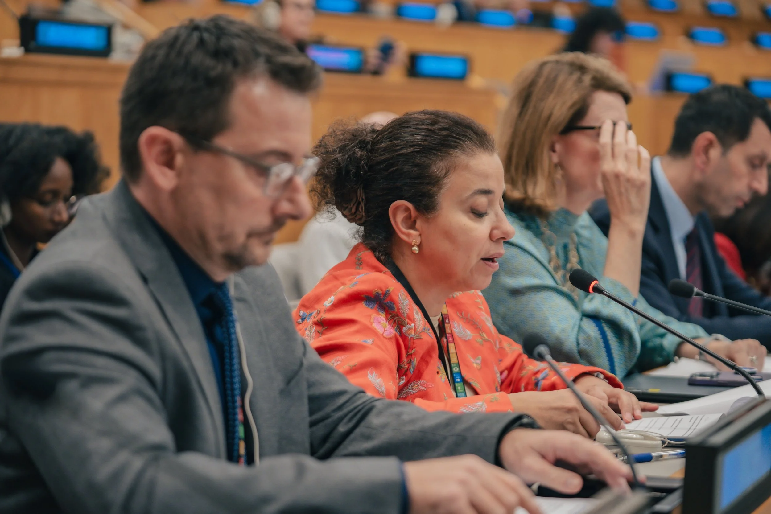 UN Pm org 2025_254.jpg