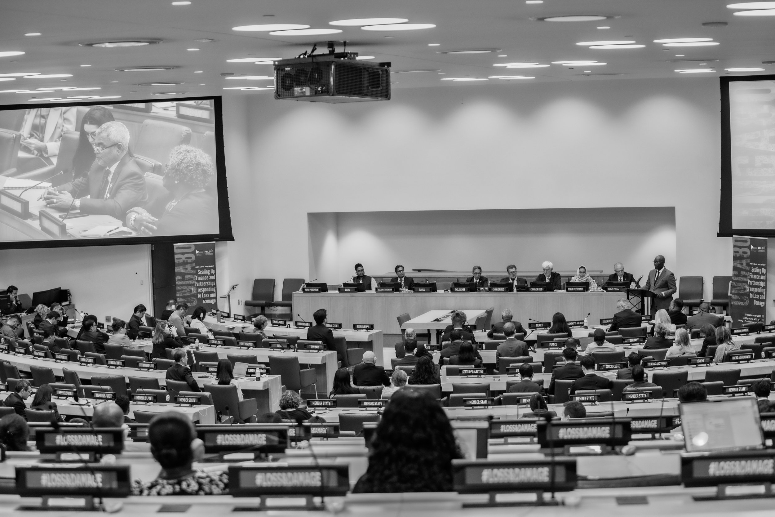 UN Pm org 2025_193.jpg