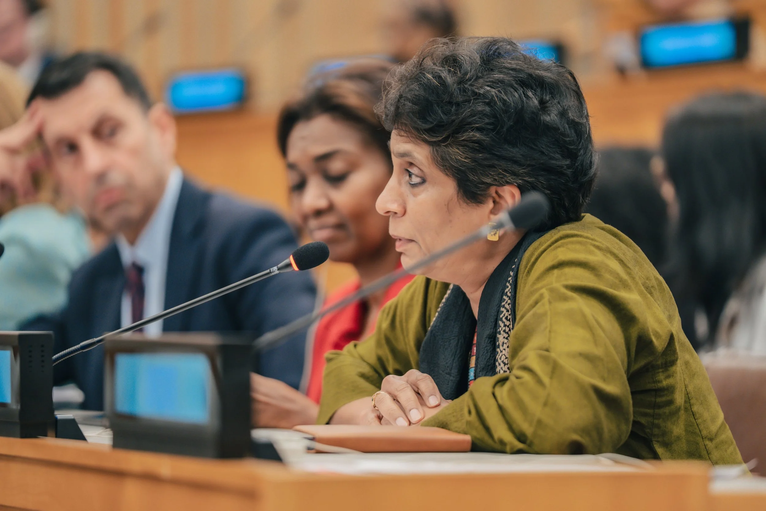 UN Pm org 2025_230.jpg