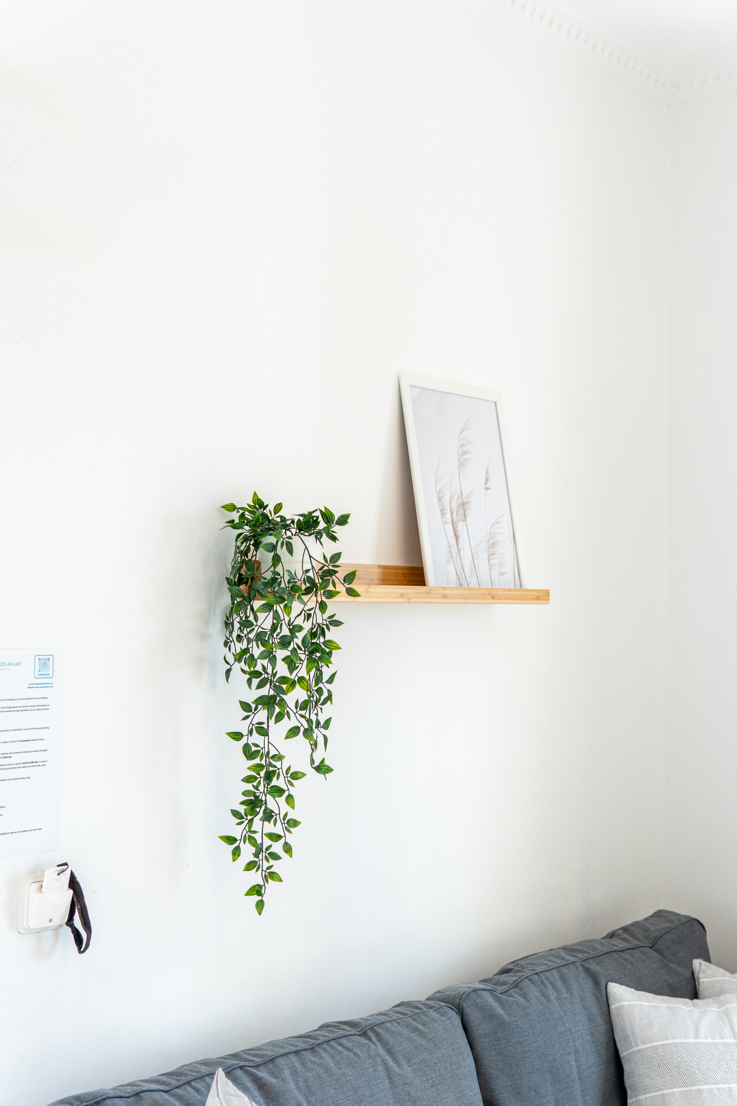 A corner of a room with a white wall, a wooden shelf holding a framed picture of dry plant stems, a trailing green houseplant, an electrical outlet with a charger, and part of a gray sofa with pillows.