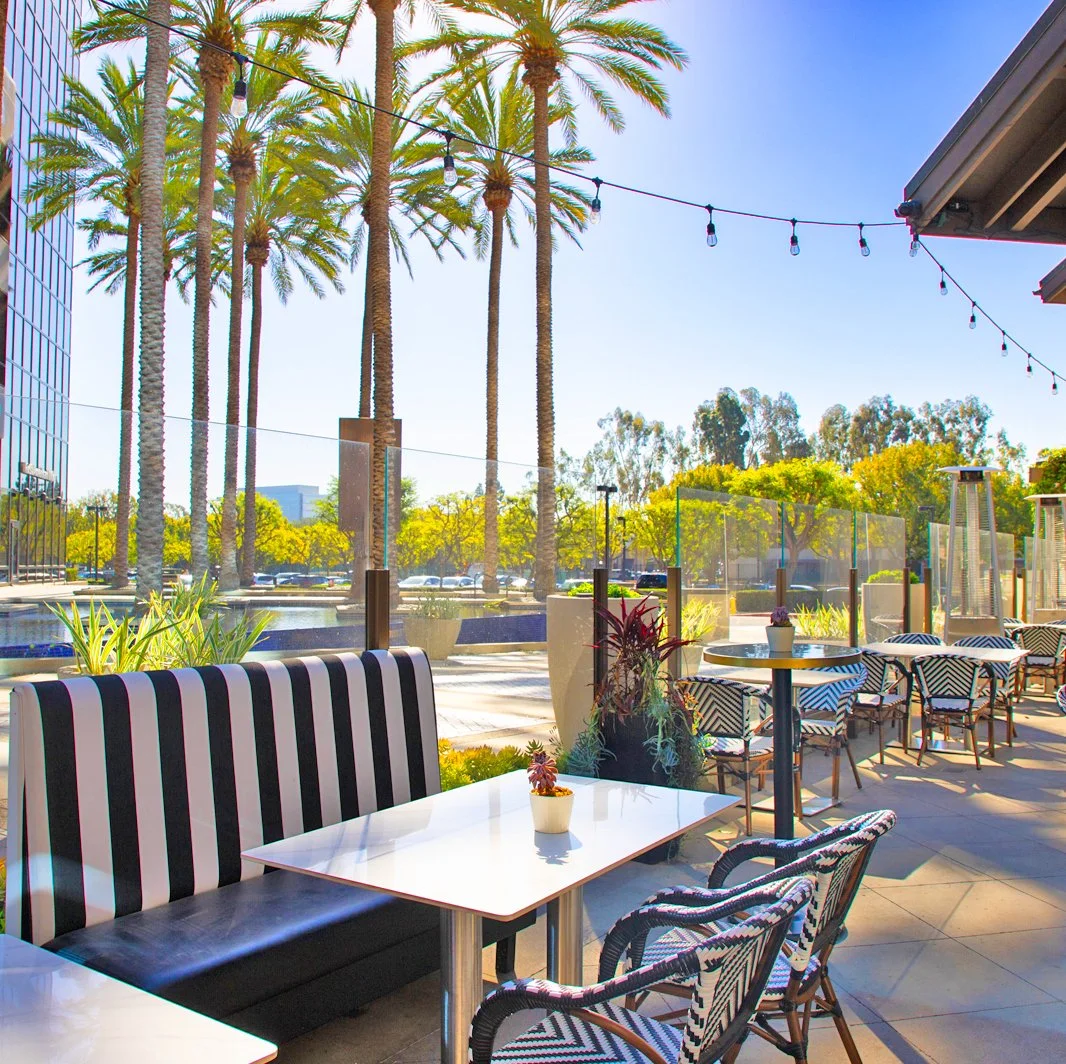 Outdoor patio with table, chairs, and palm trees, decorated with string lights on a sunny day.