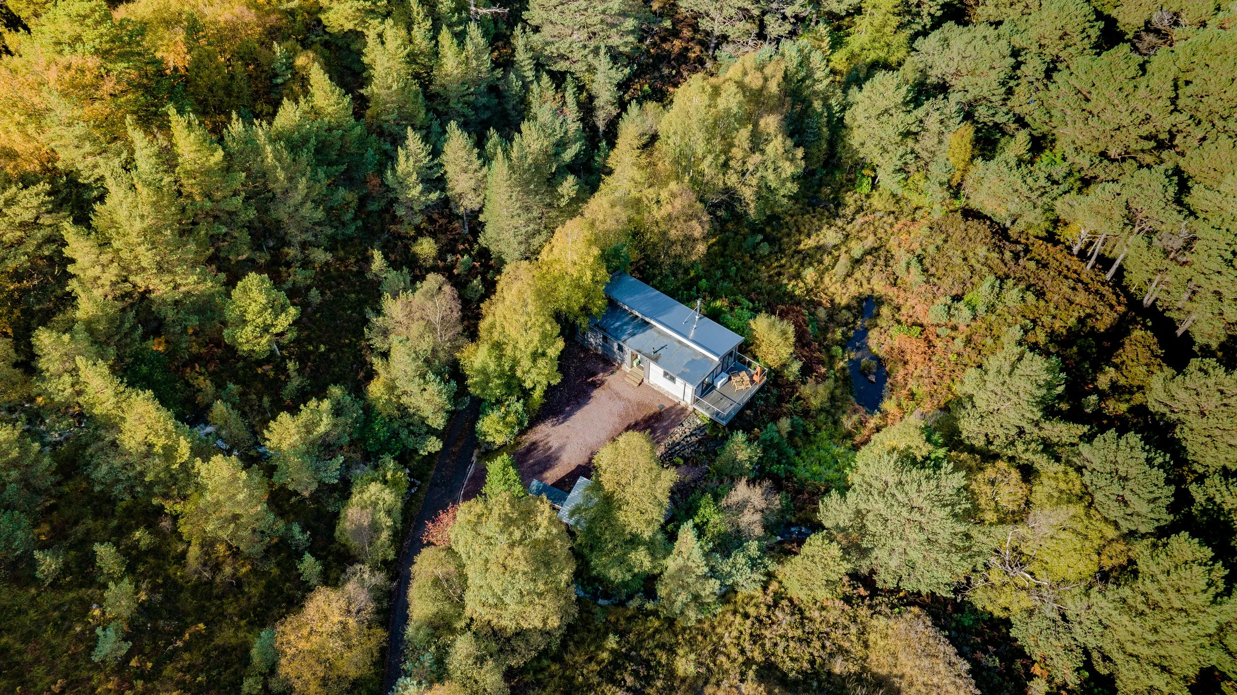 Feada Coille from above, credit Steve Carter.jpg