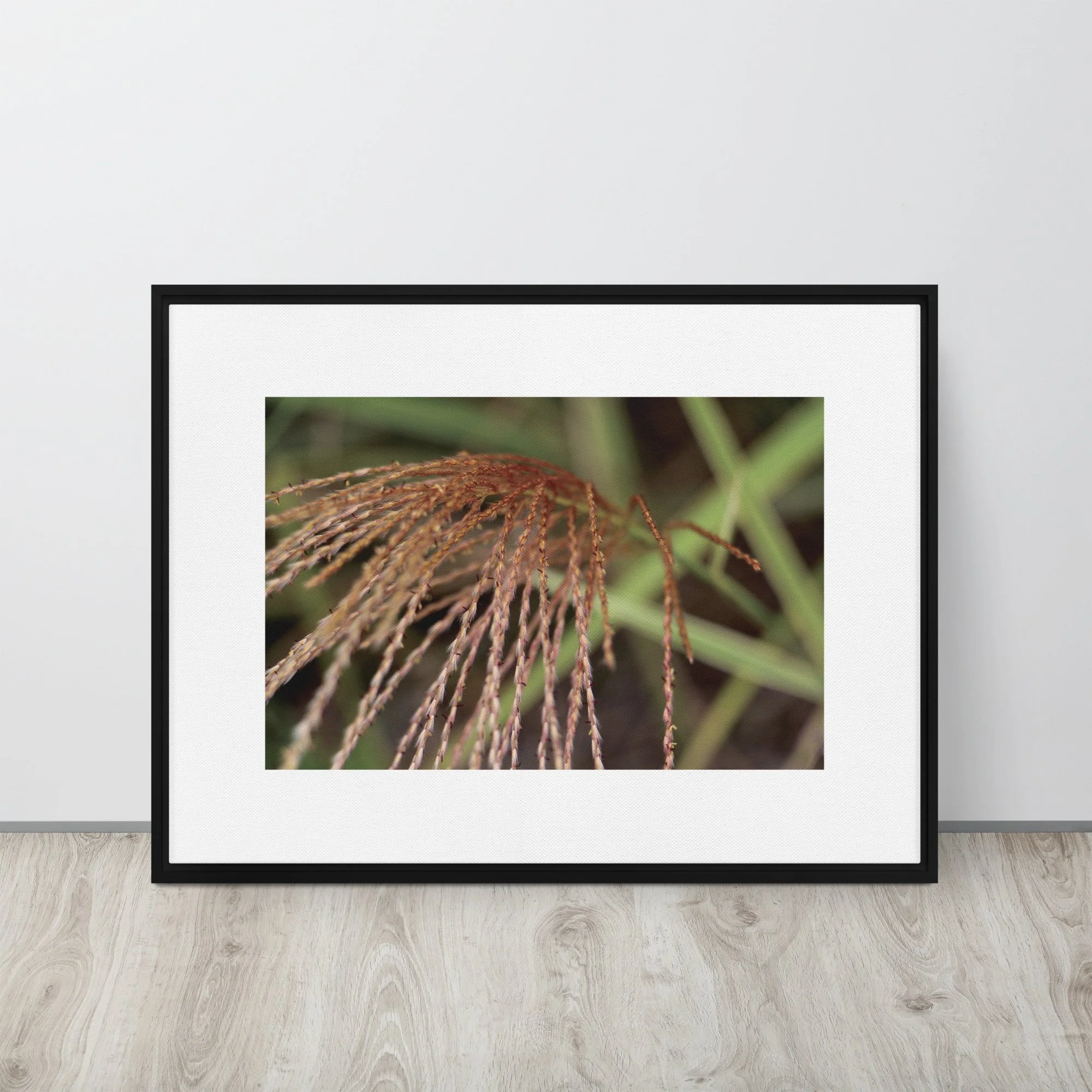 Framed canvas