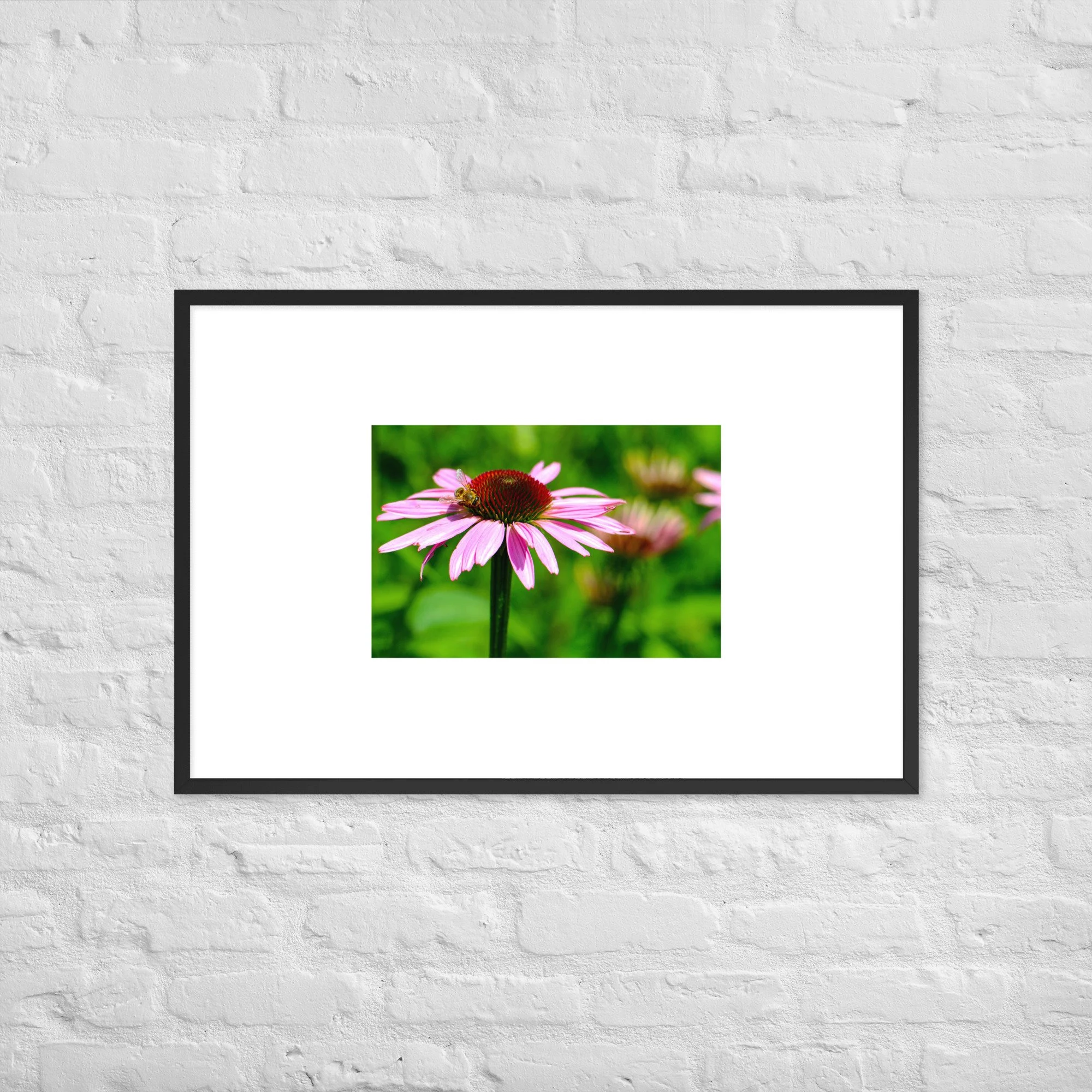 Framed photo paper poster