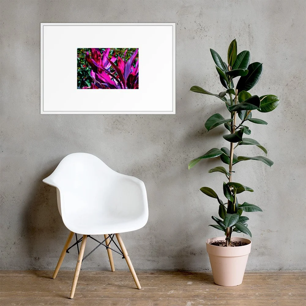 Framed photo paper poster