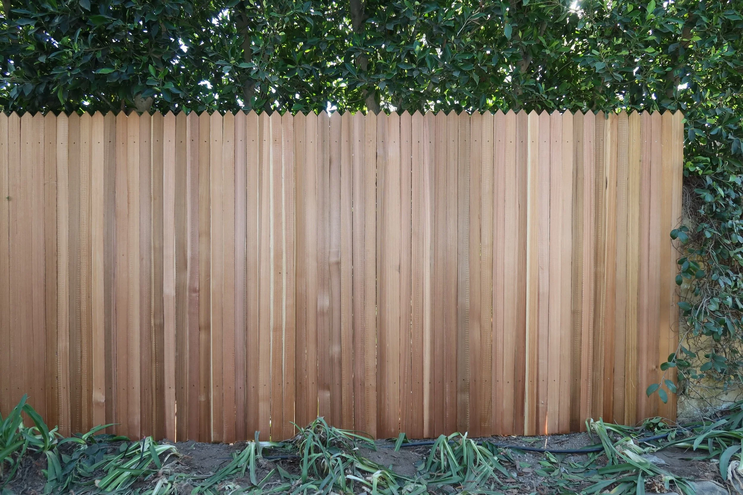 Custom pointed top cedar grape-stake picket fence.