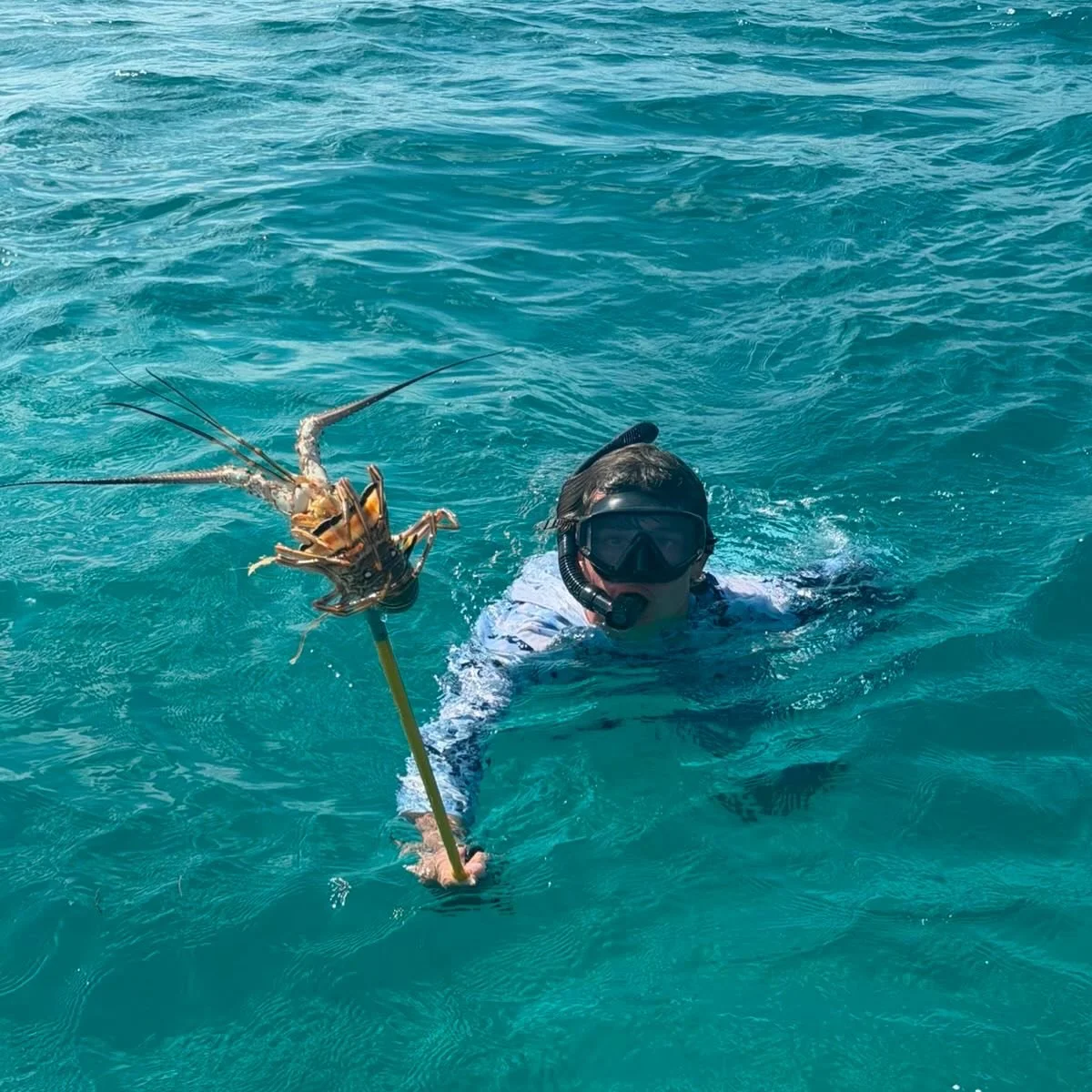 Dinner is served!  Belize has the 2nd largest coral reef in the world.  We are also surrounded by fantastic diving water!  Take some time off the incredible fishing and experience our fantastic diving opportunities. 
.
.
.
#scuba #freediving #lobster