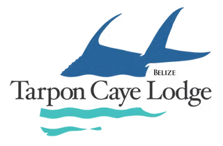 Tarpon Caye Lodge | Fly Fish For Permit, Tarpon, And Bonefish In Belize