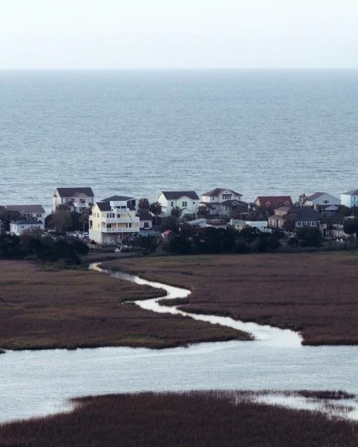 Marsh to Sea