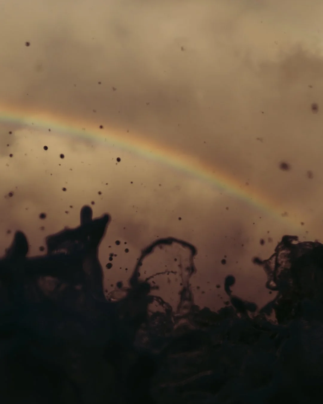 Rainbow Rush