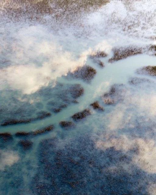 Floodtide