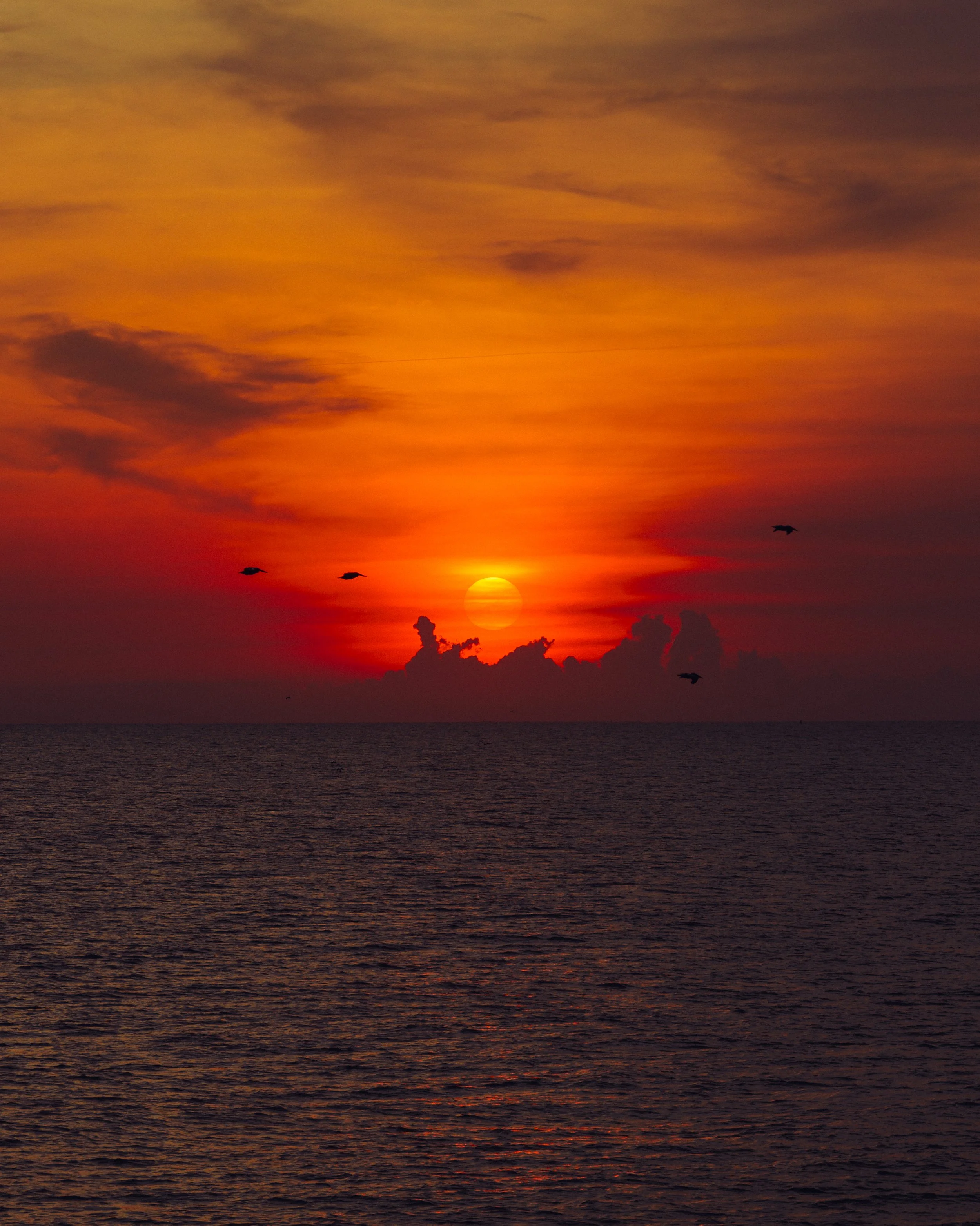 Folly Red