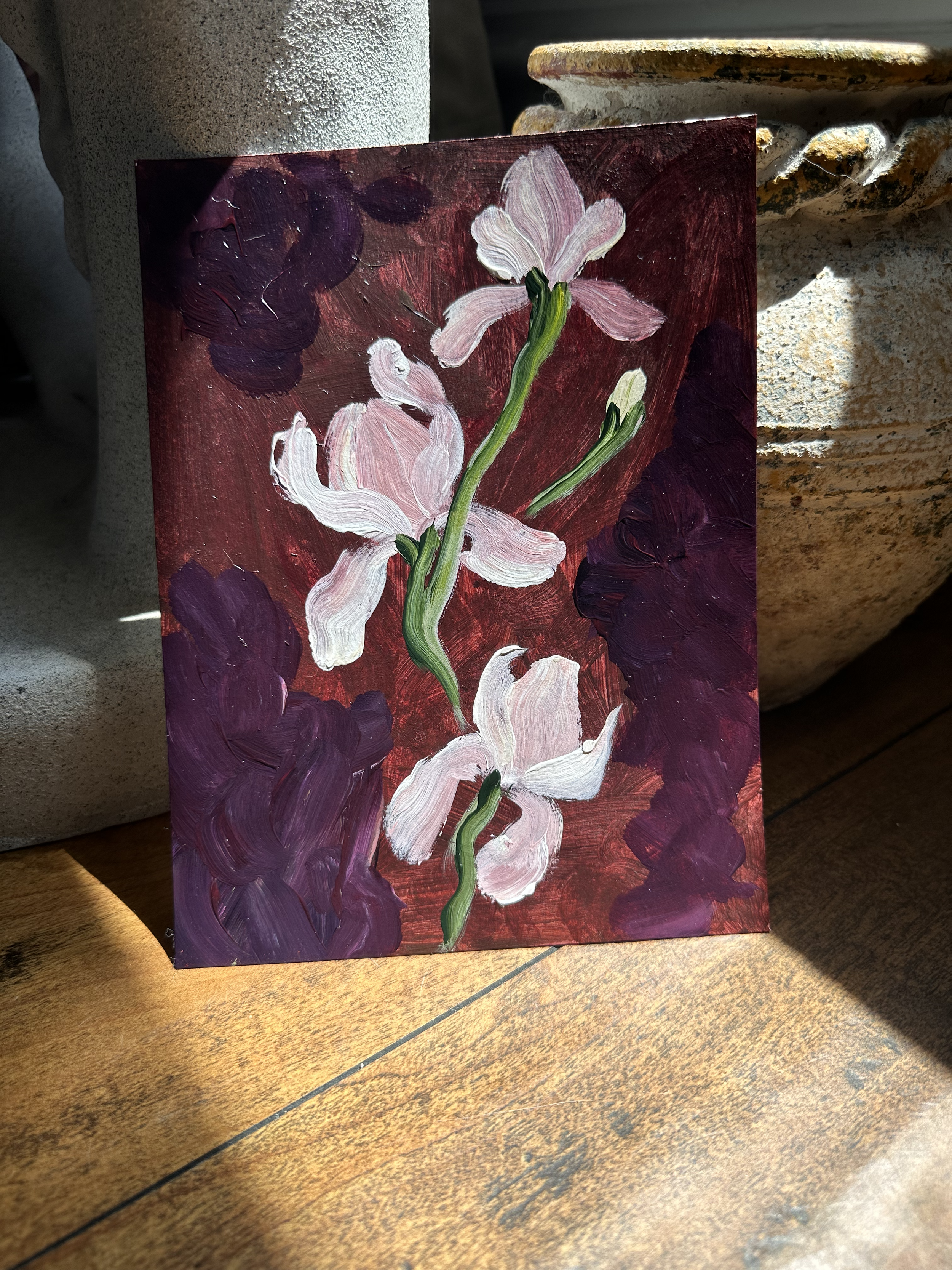 Iris Nº.  12