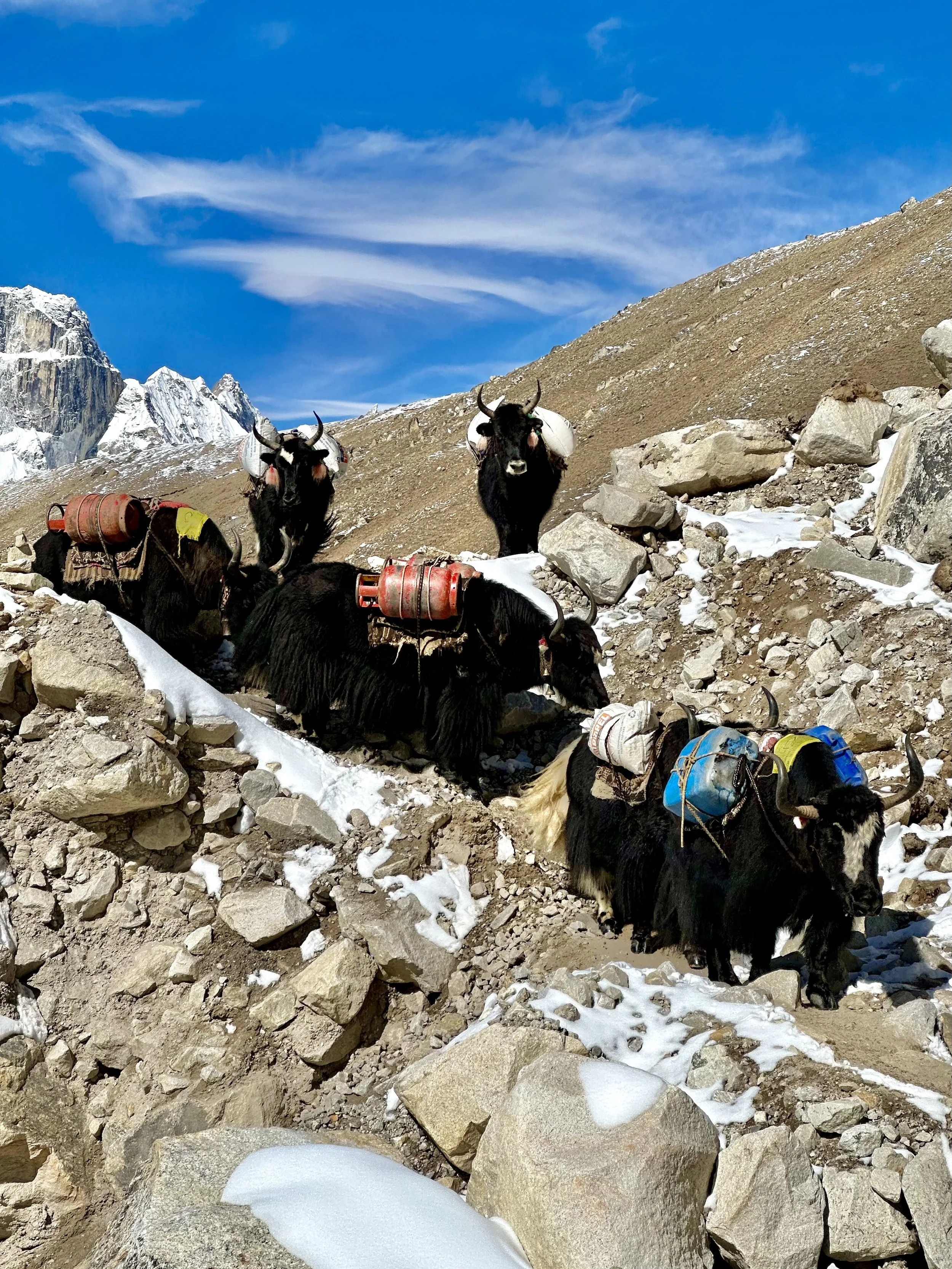 IMG_2143.jpeg