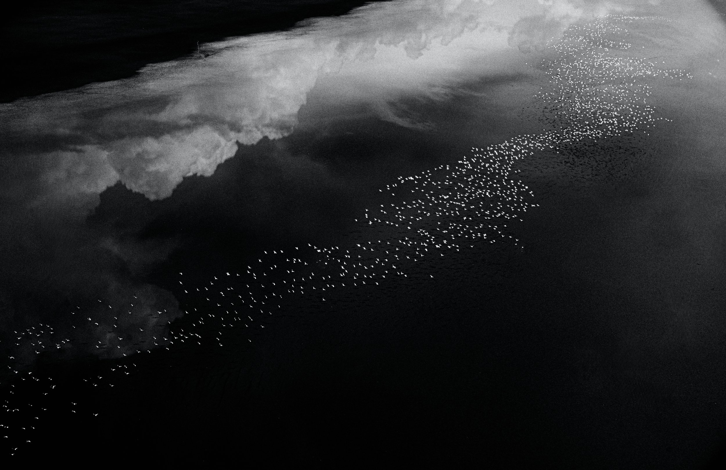 Landscapes & Flamingoscapes