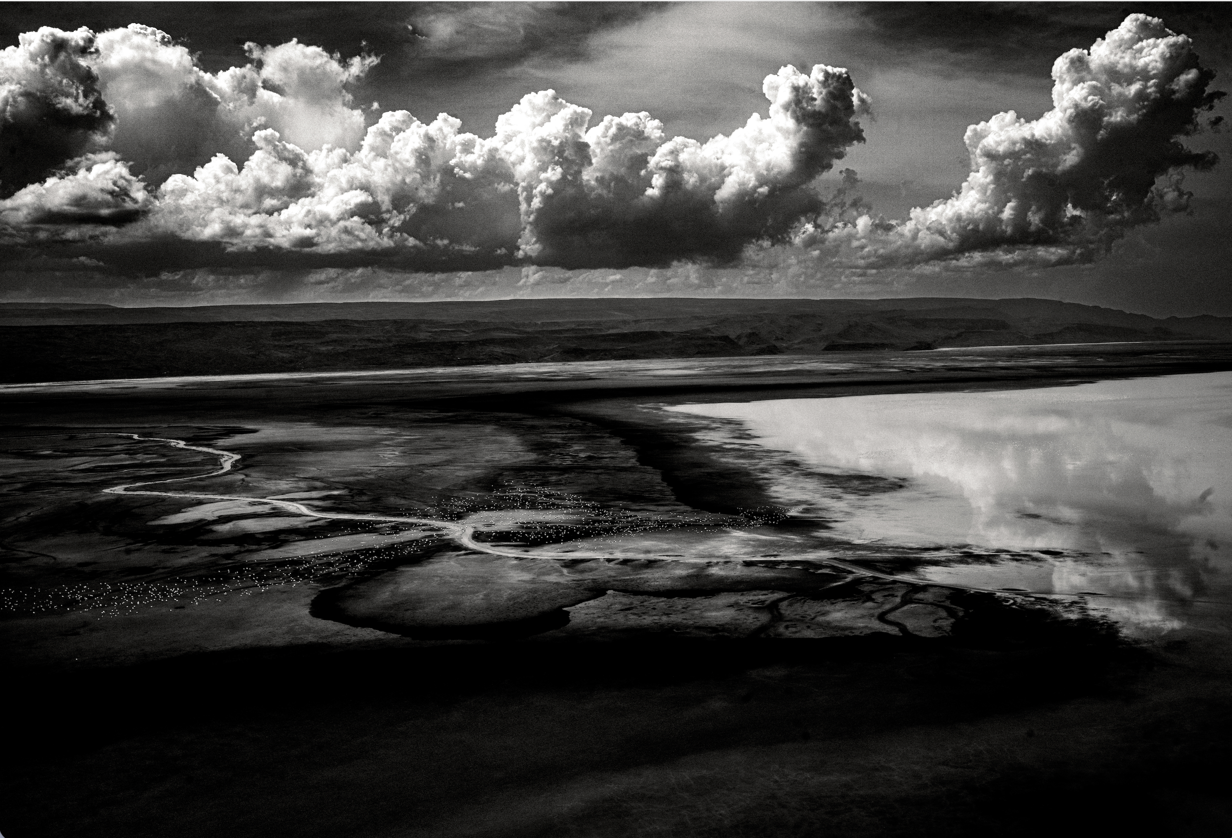 Flamingoscape No.1 (1st Edition 1 of 30 + 1 AP) Unframed | 58.8 x 40 cm Framed | 72.5 x 53.7 cm