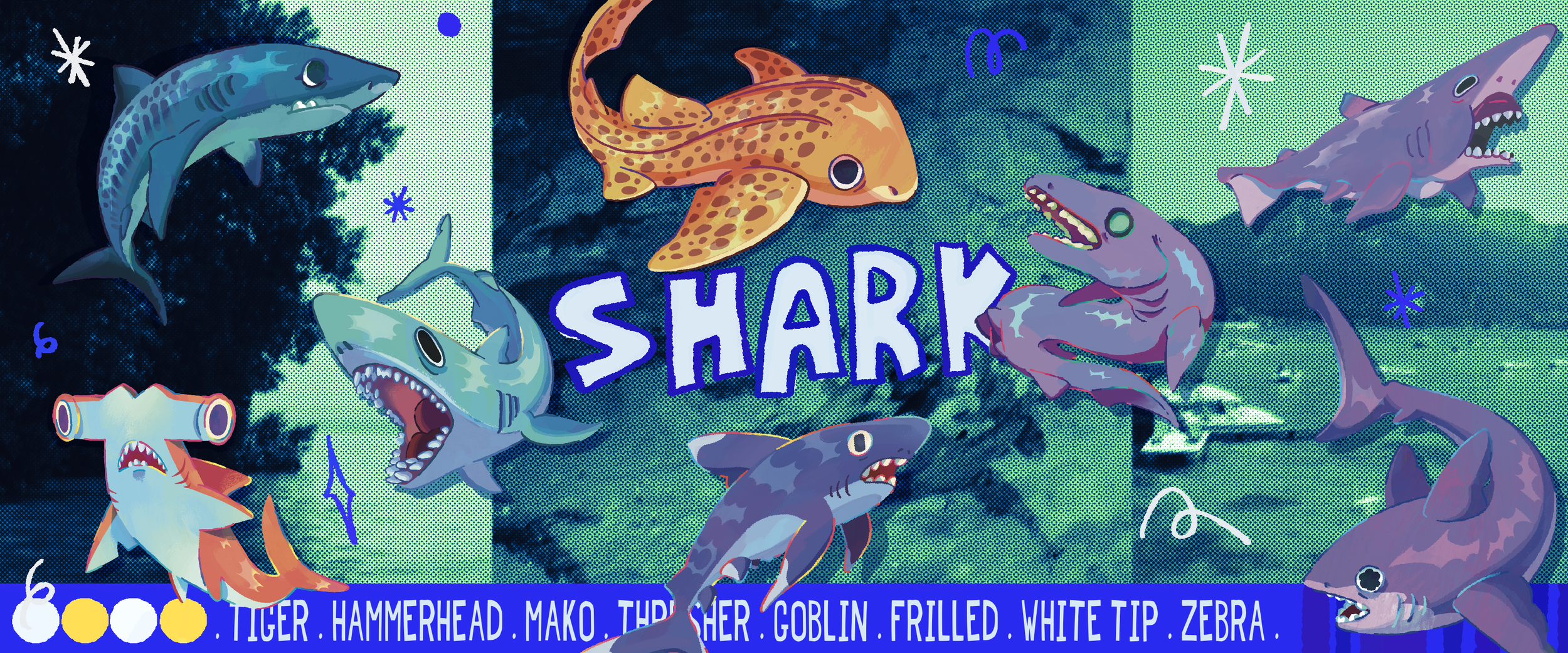 Colorful illustration of various cartoon sharks with the word 'SHARK' in the center and a list of shark names at the bottom.
