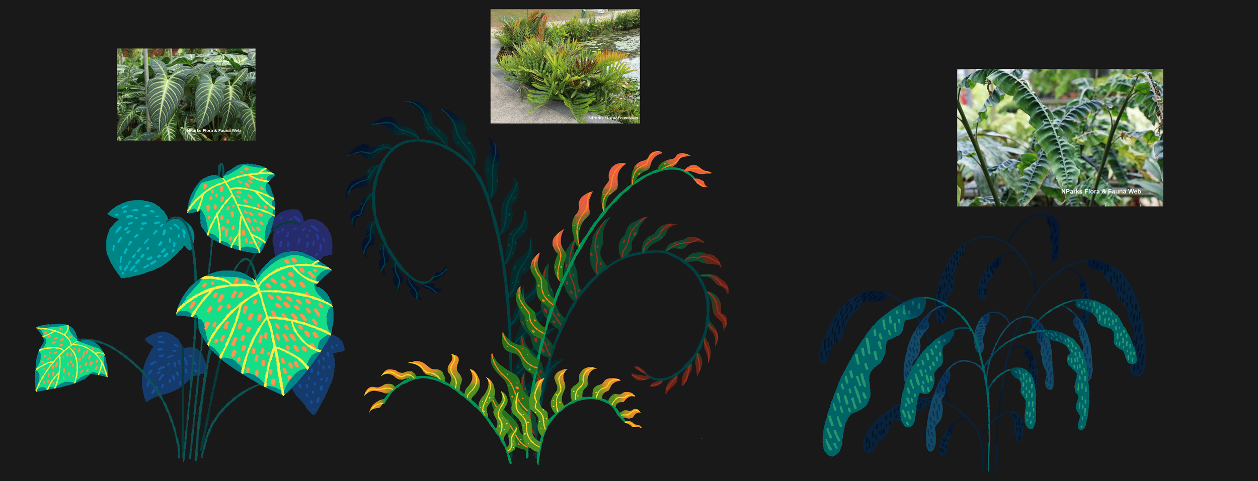SGP_2C_assetconcept02_20240419.png