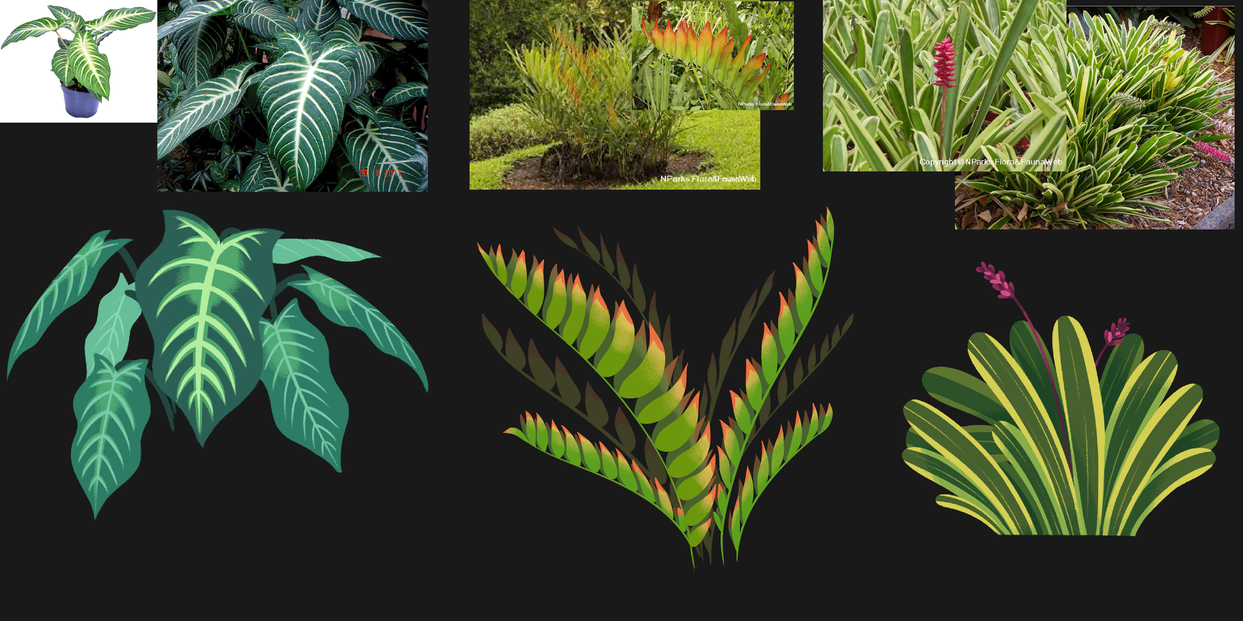 SGP_2A_ConceptFoliages_20240308.png