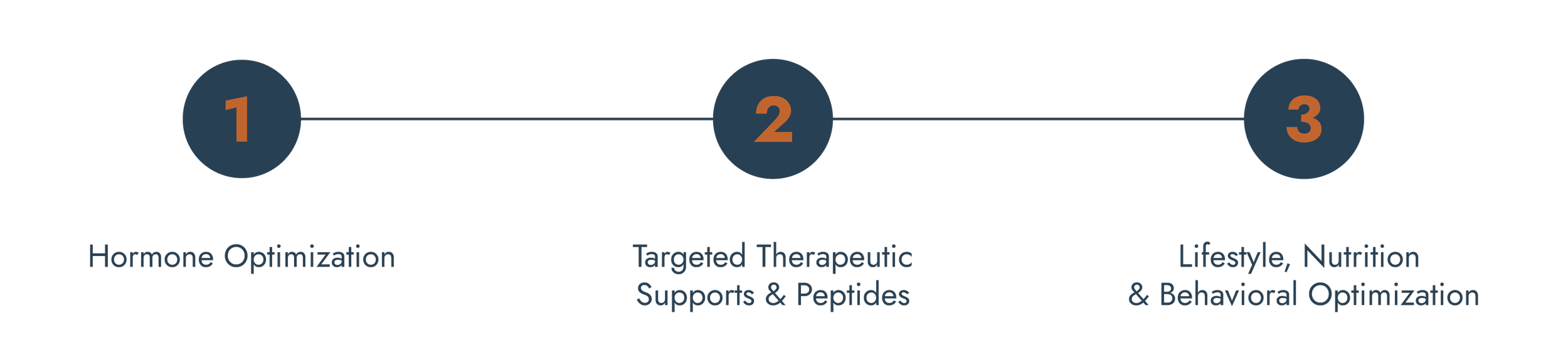 Three interconnected circles with numbered steps explaining a process for hormonal and lifestyle optimization, including hormone optimization, targeted therapeutic supports, and lifestyle and behavioral strategies.