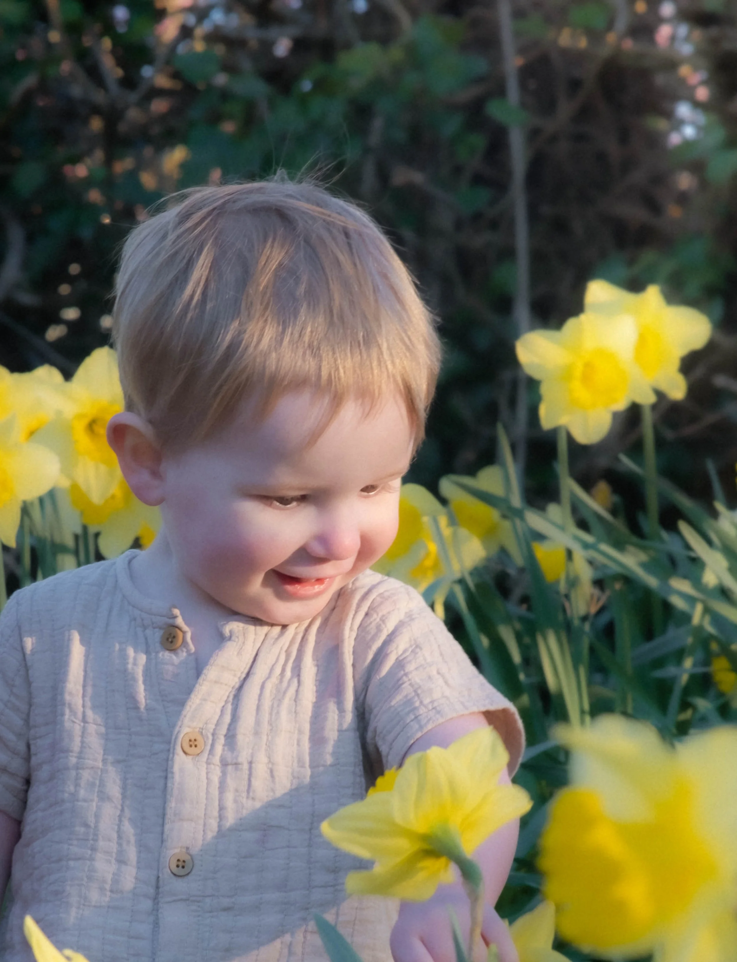 Close-up of a young child with light brown hair, wearing a beige shirt with buttons, smiling and looking down among yellow flowers in a garden.