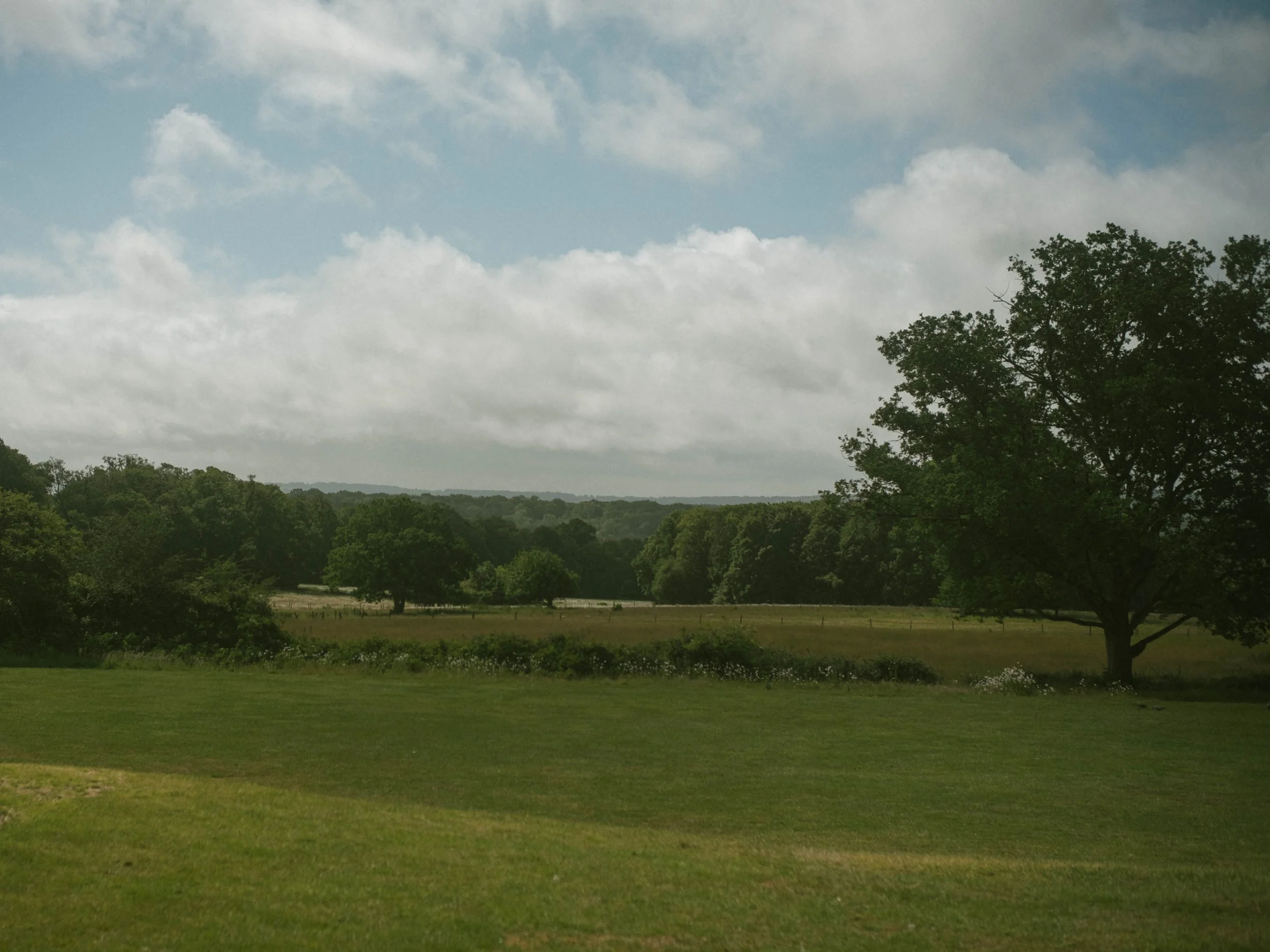 DSCF2073.jpg