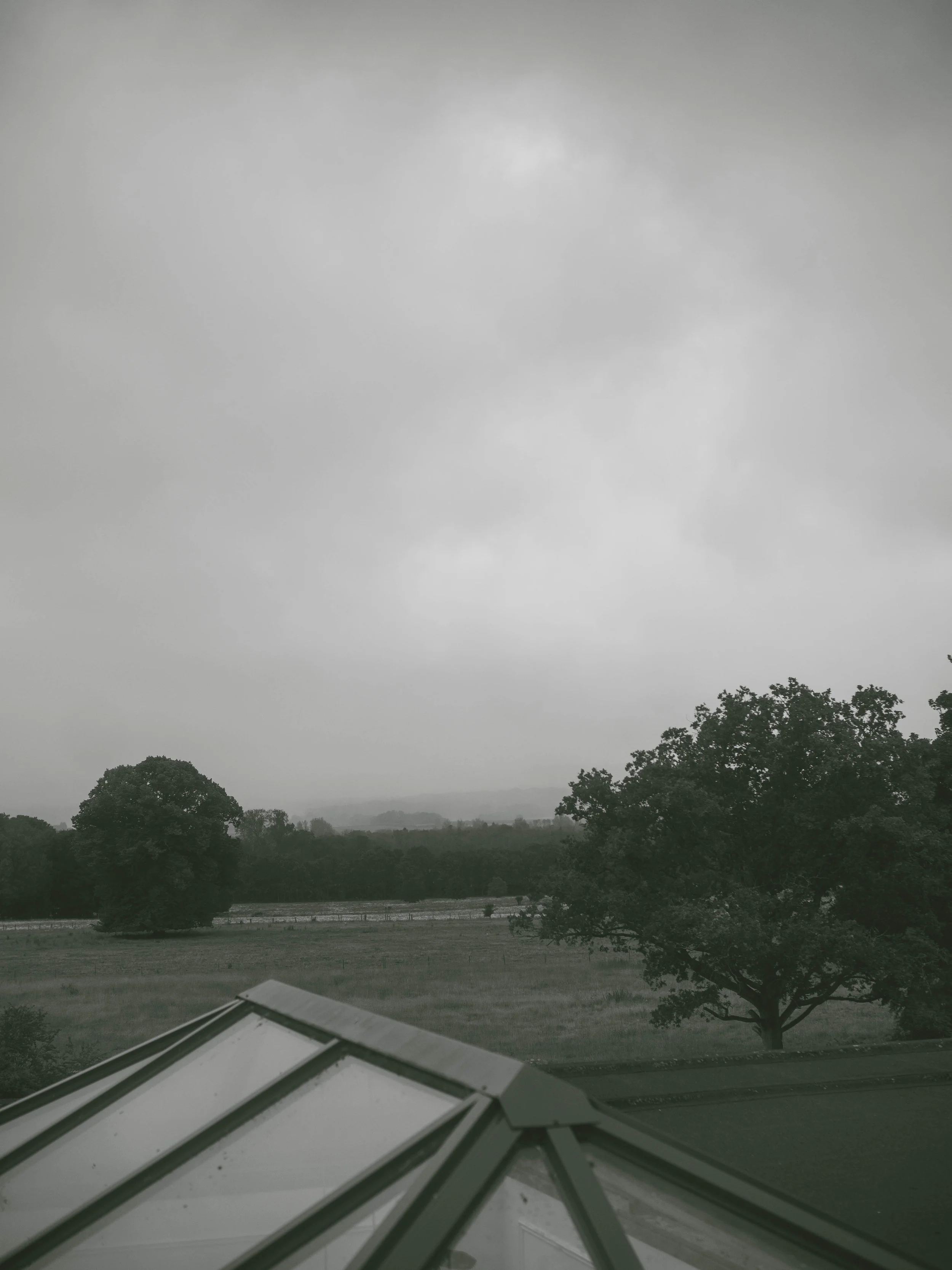 DSCF2436.jpg