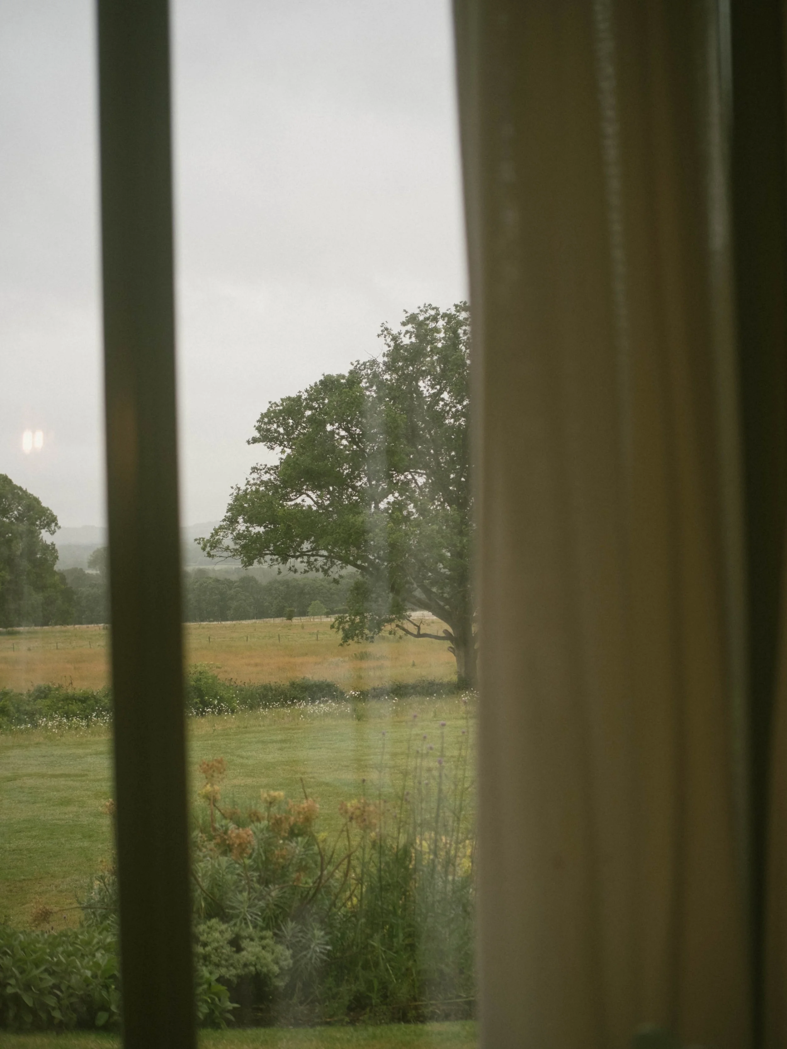 DSCF4539.jpg