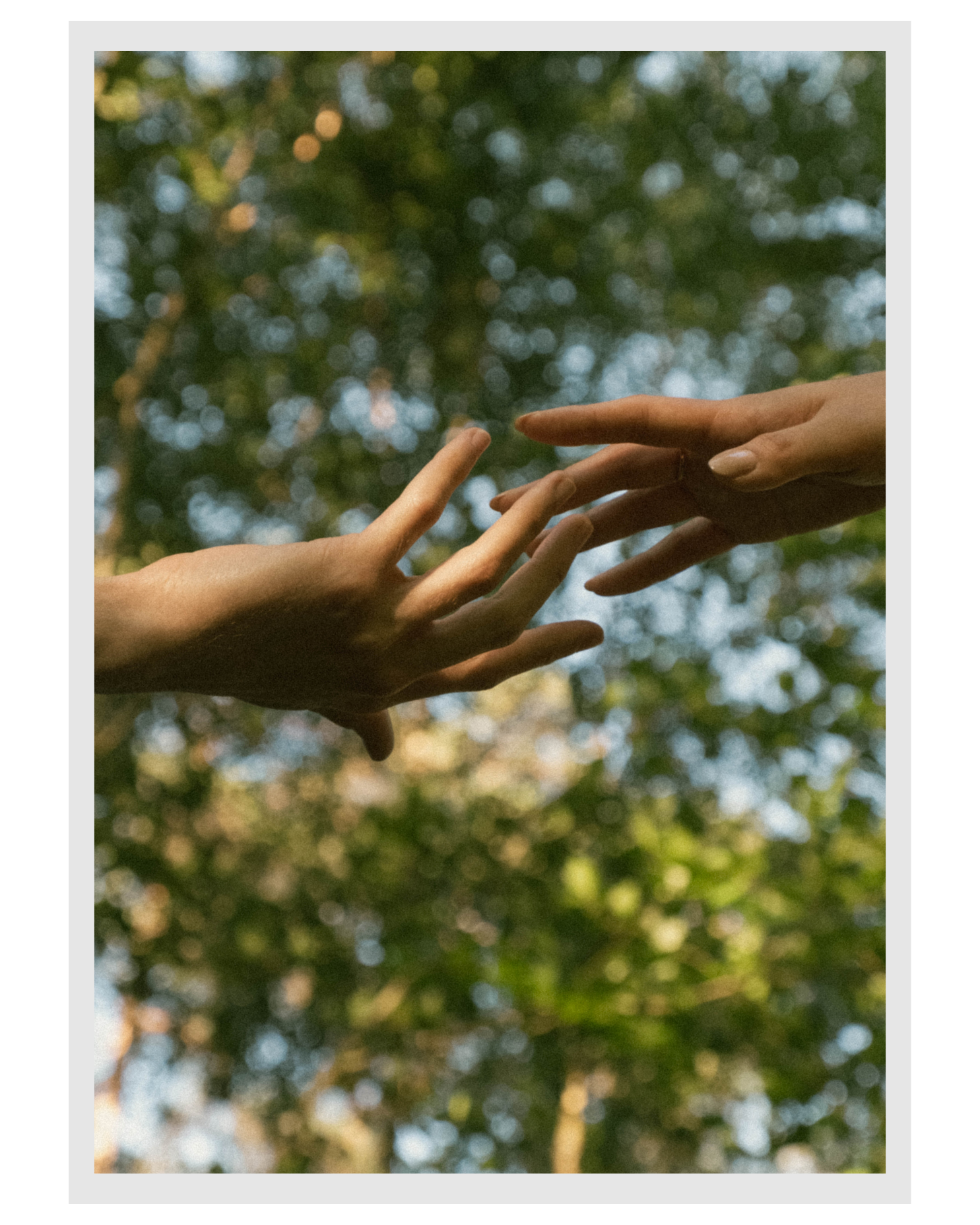 Two hands reaching towards each other against a blurred background of green and blue, with sunlight filtering through trees.