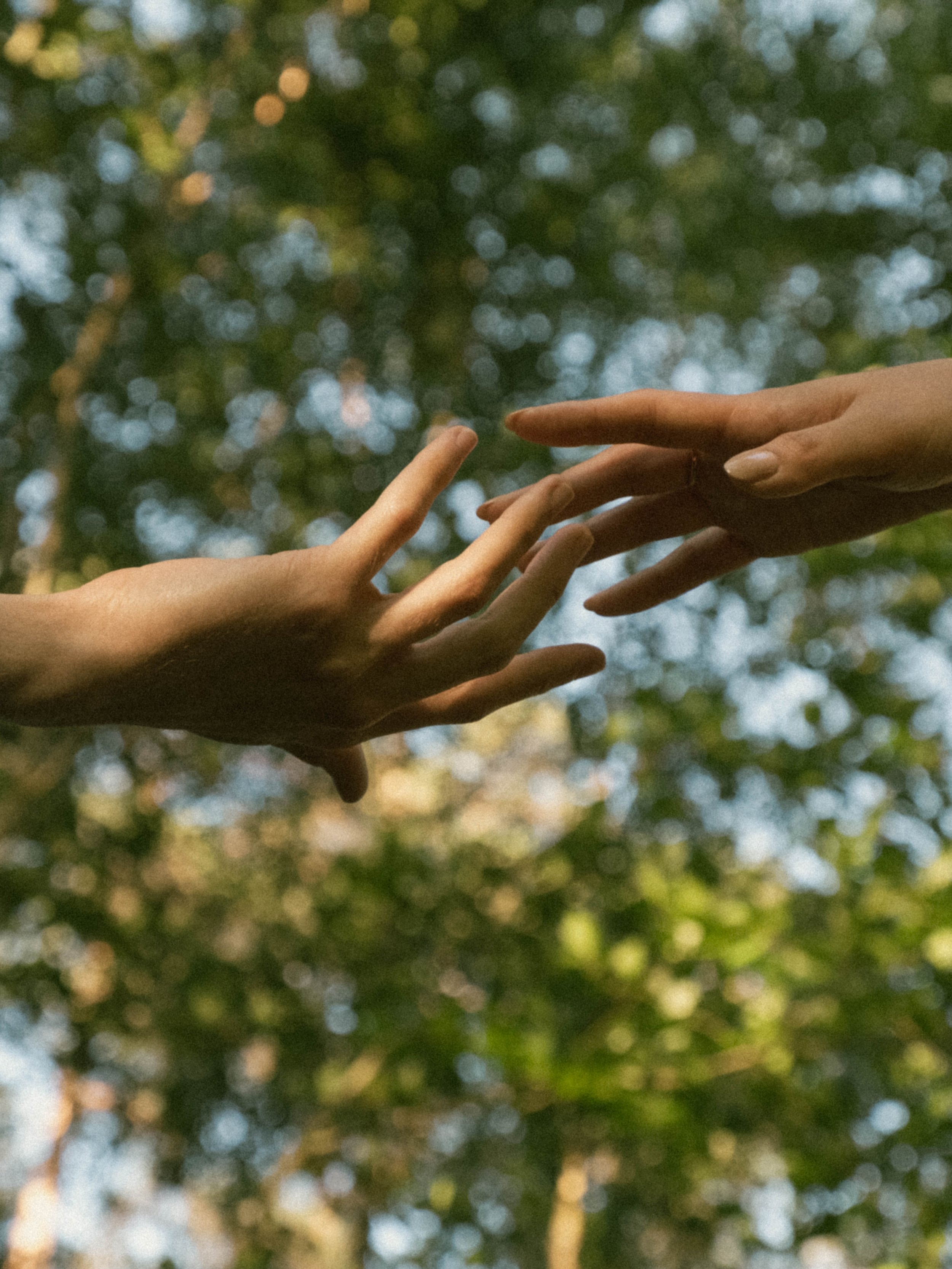Two hands reaching towards each other with fingers nearly touching, set against a background of blurred green and blue bokeh lights from trees and sky.