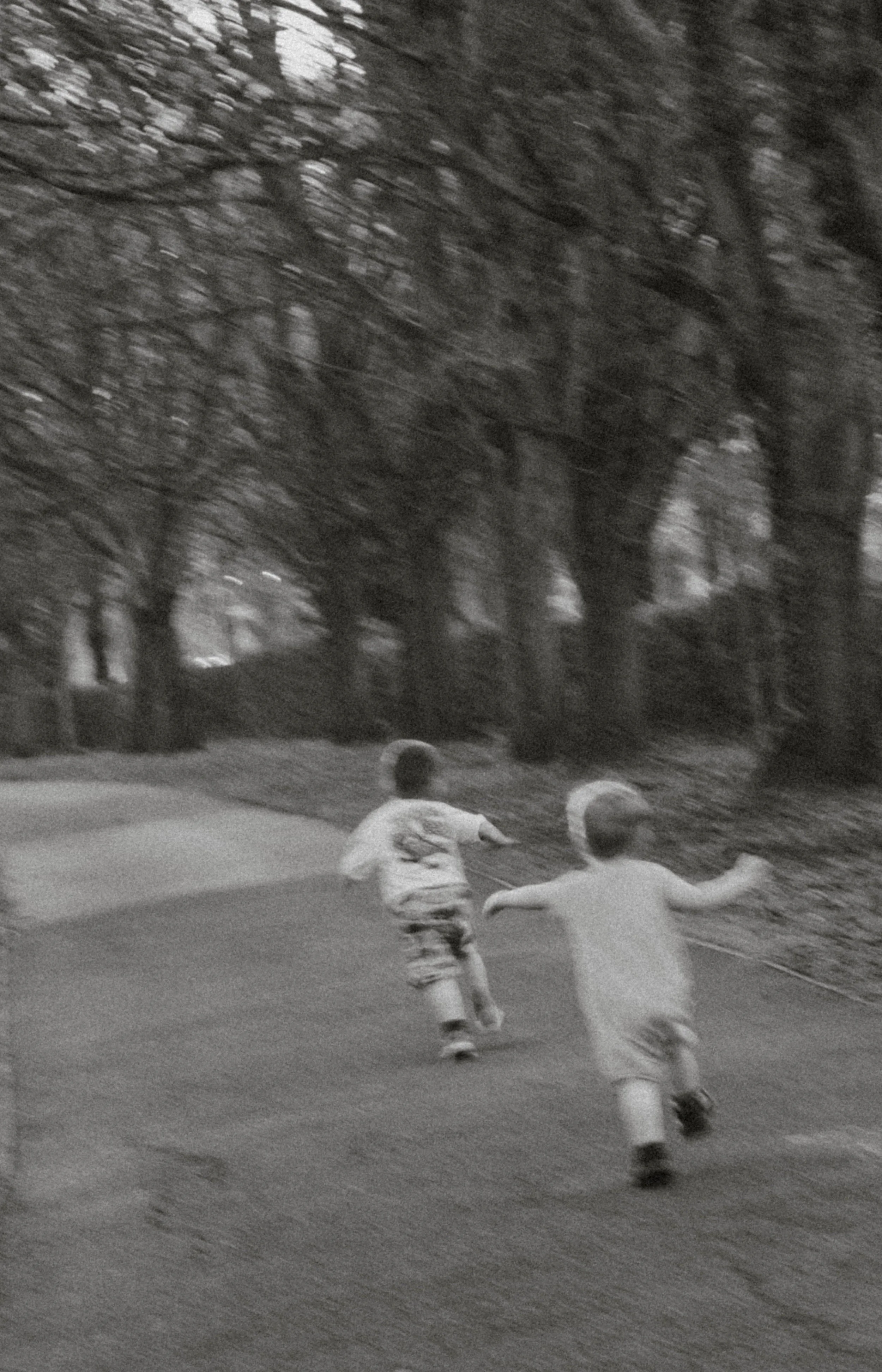 Children playing soccer on a field in a park with trees in the background during daytime.