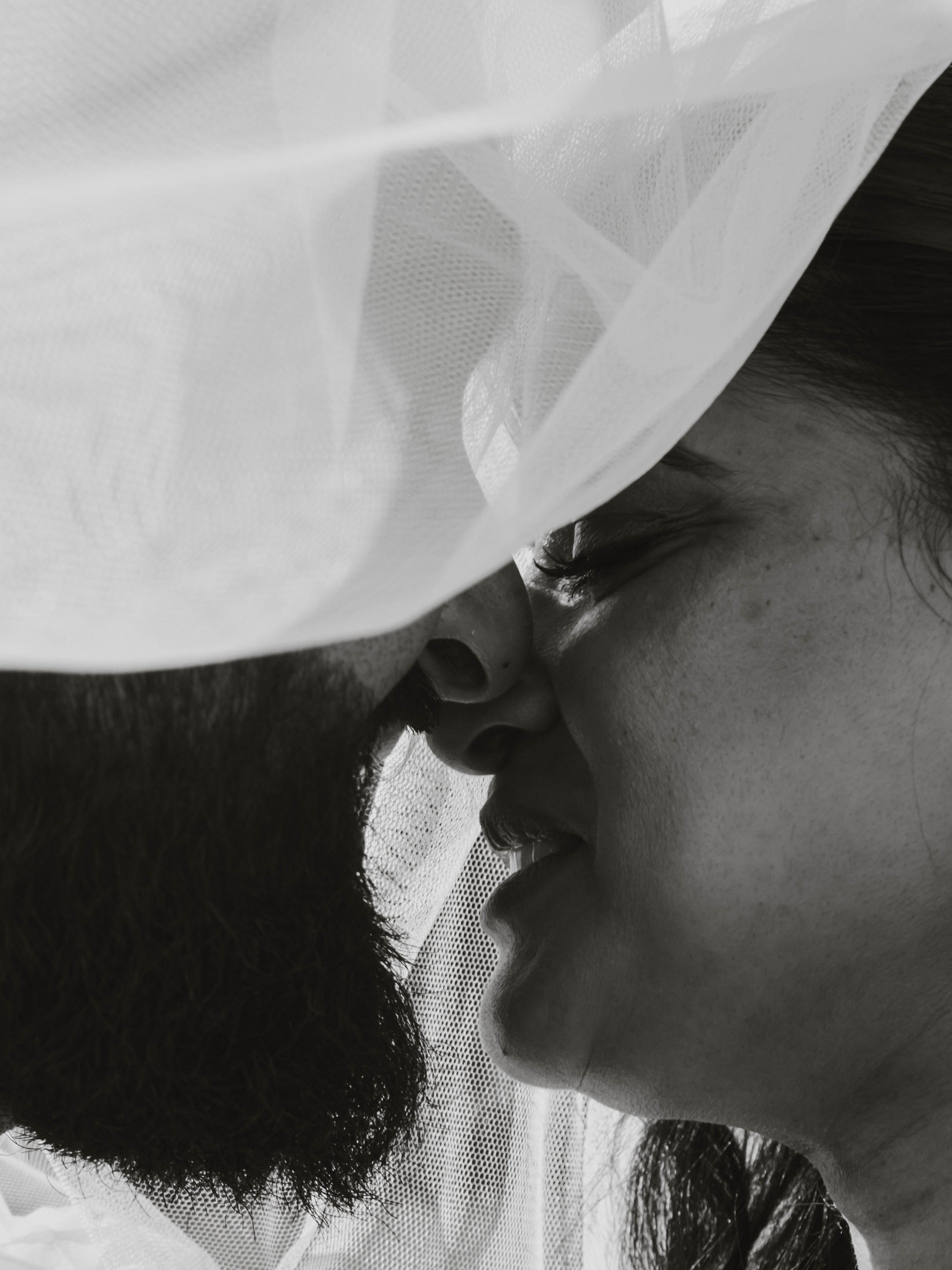 Close-up of a black-furred dog resting its head on a person's chest beneath a white mesh curtain or fabric.