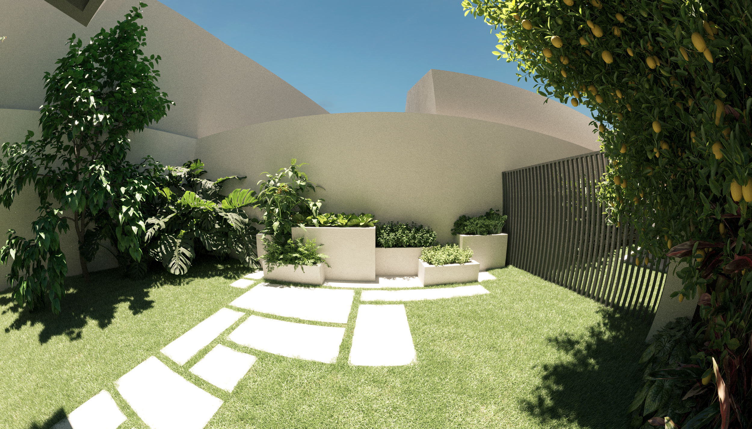 FUNDO - HORTA FISHEYE.png