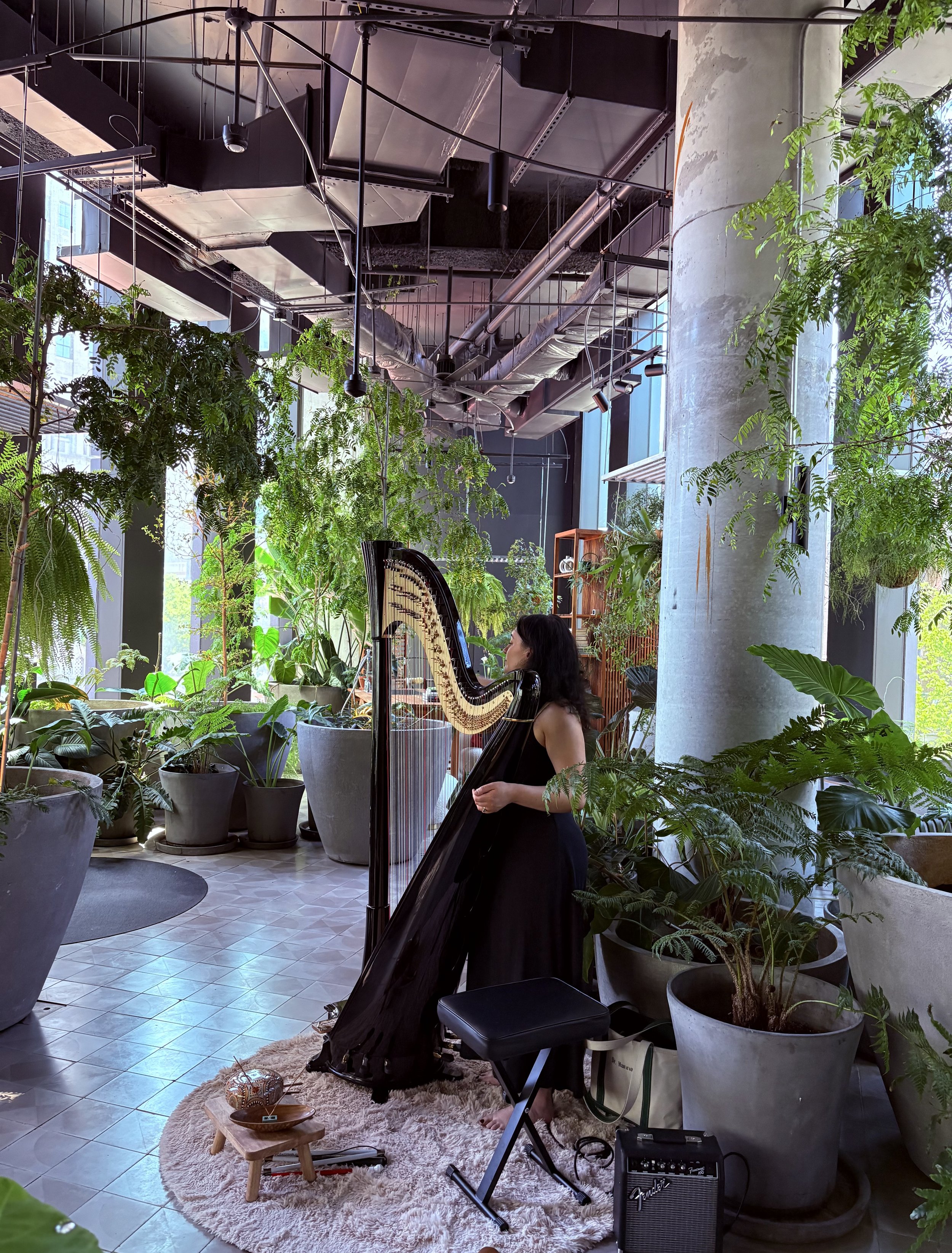 Hannah Anderson, harpist, is playing her harp in a bright indoor setting with many green plants and large windows, modern industrial decor, a small table with bowls, a fluffy rug, and musical equipment including an amplifier and music stand.