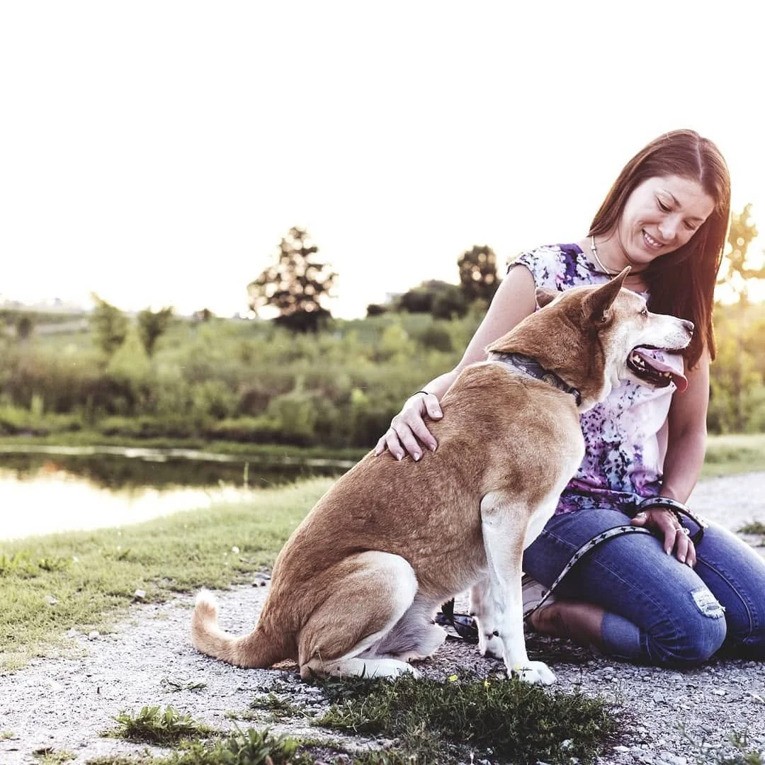 A woman and a dog sitting together outdoors near a body of water, with trees and a sunset in the background.