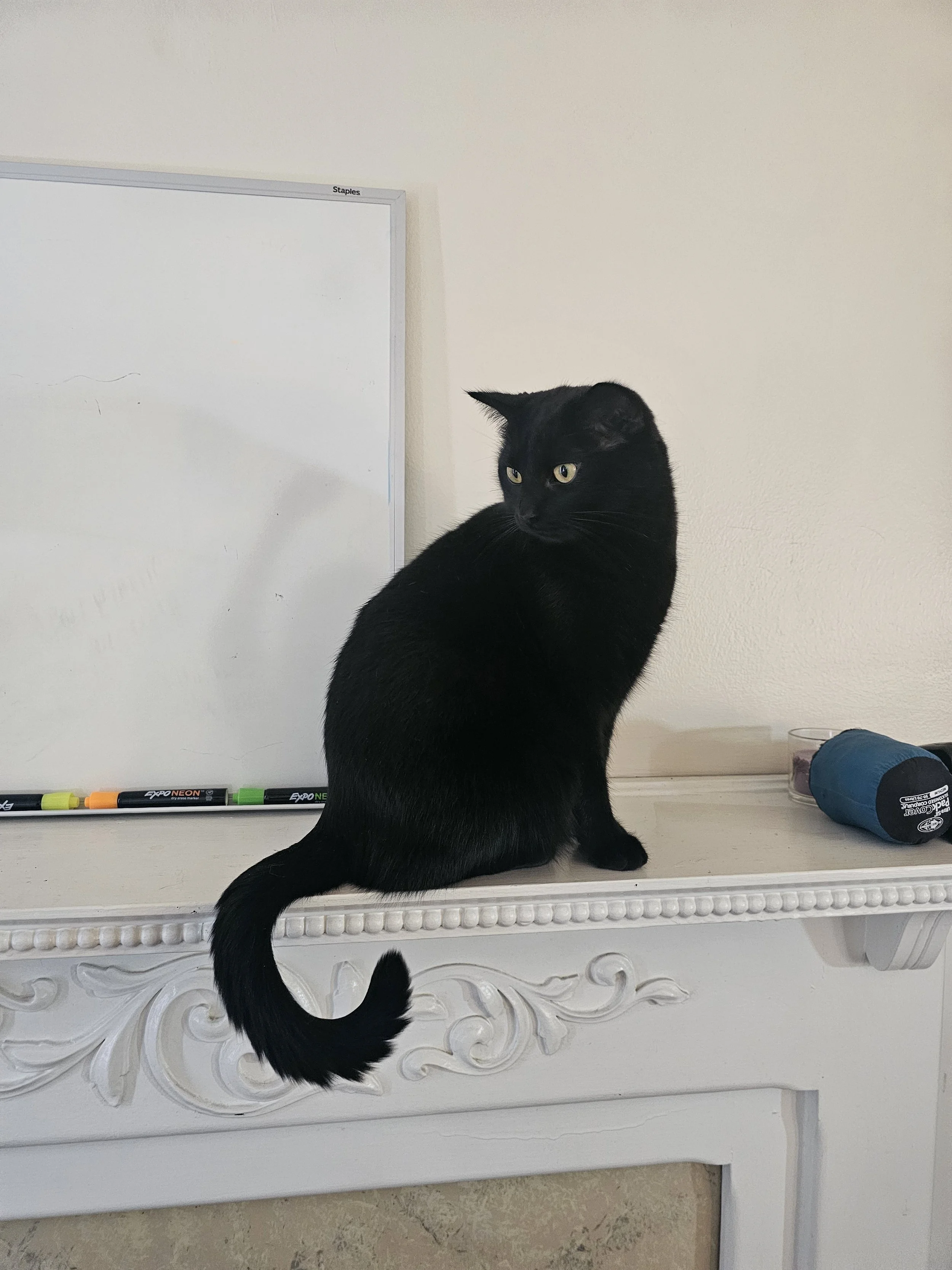 Black cat with yellow eyes sitting on a white ornate mantelpiece, next to a black flashlight and some markers, with a whiteboard in the background.