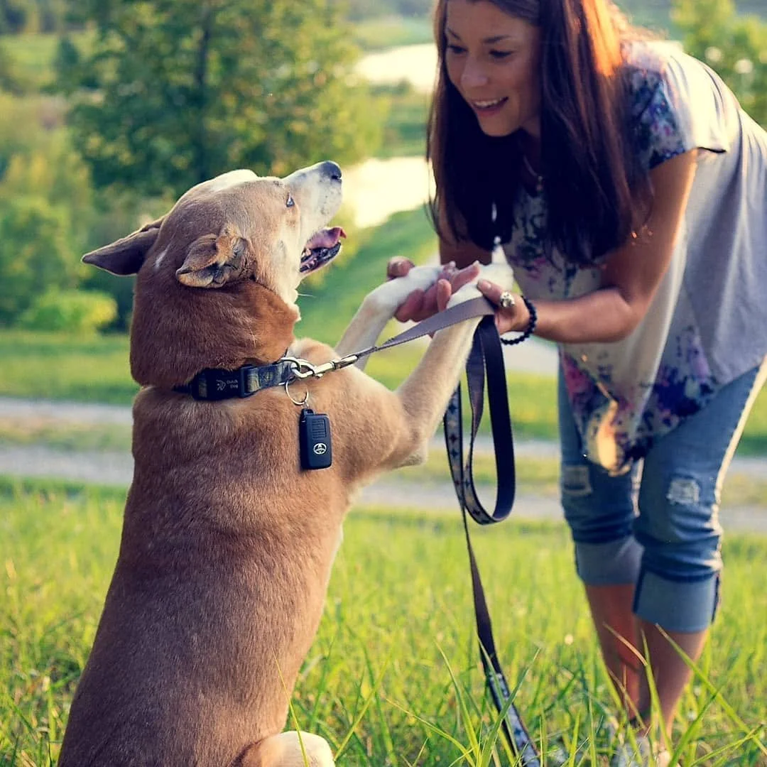 A woman playing with a brown dog outdoors near a grassy area and a body of water.