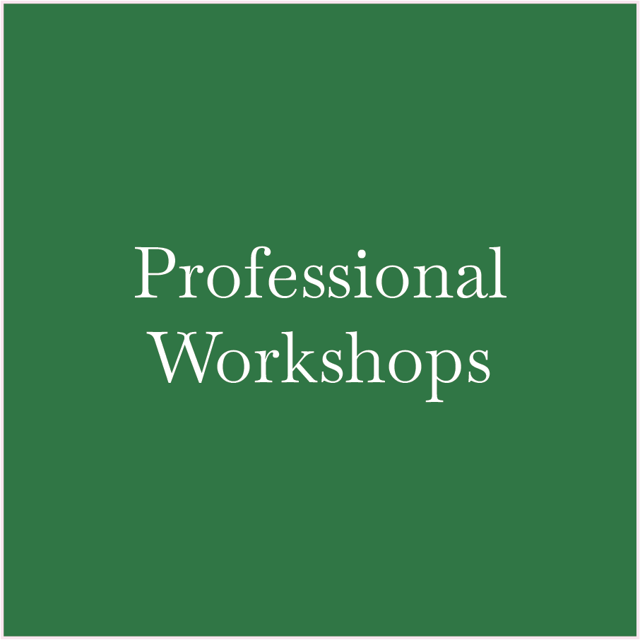 Green background with white text reading 'Professional Workshops'