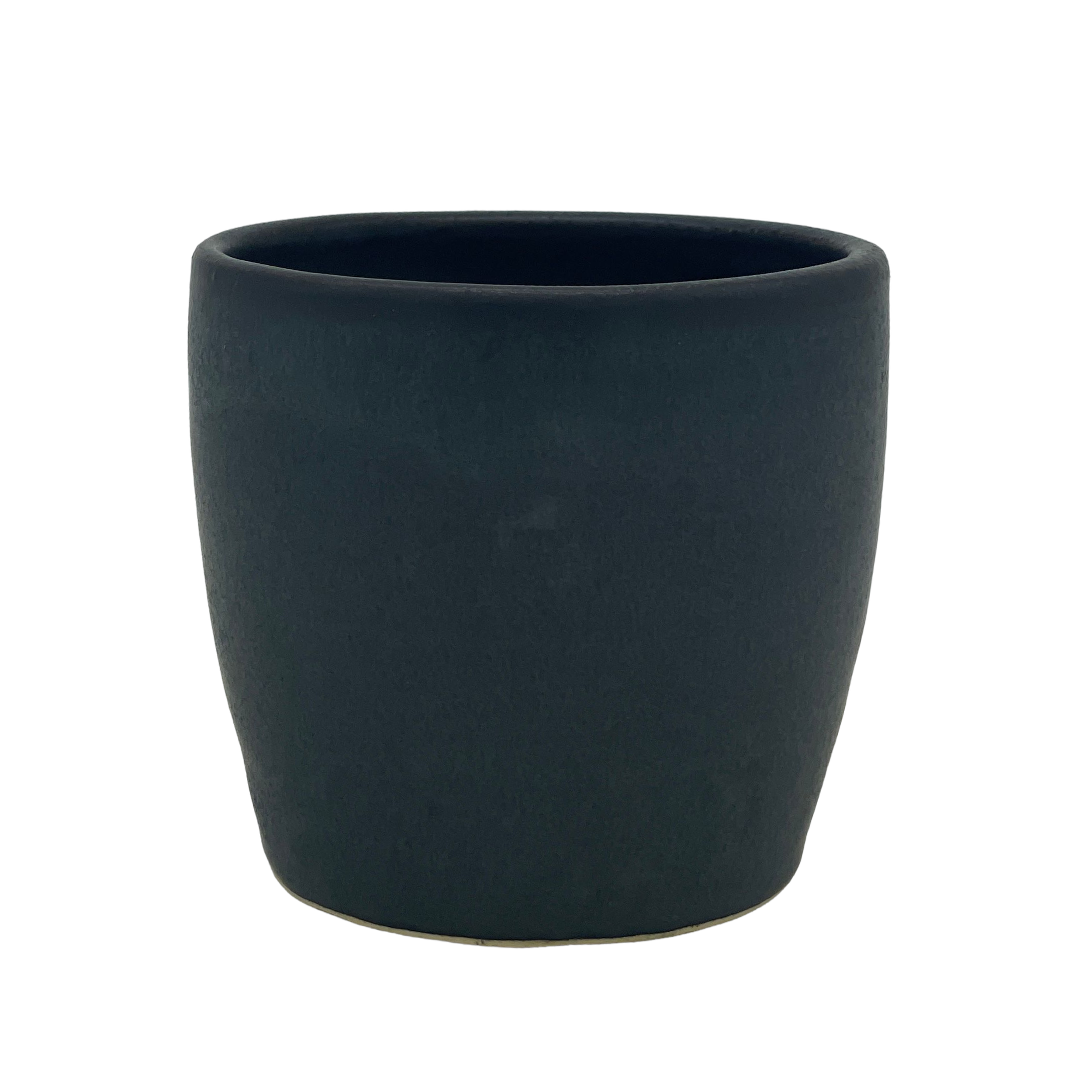 Little Beetle Planter Side B.png