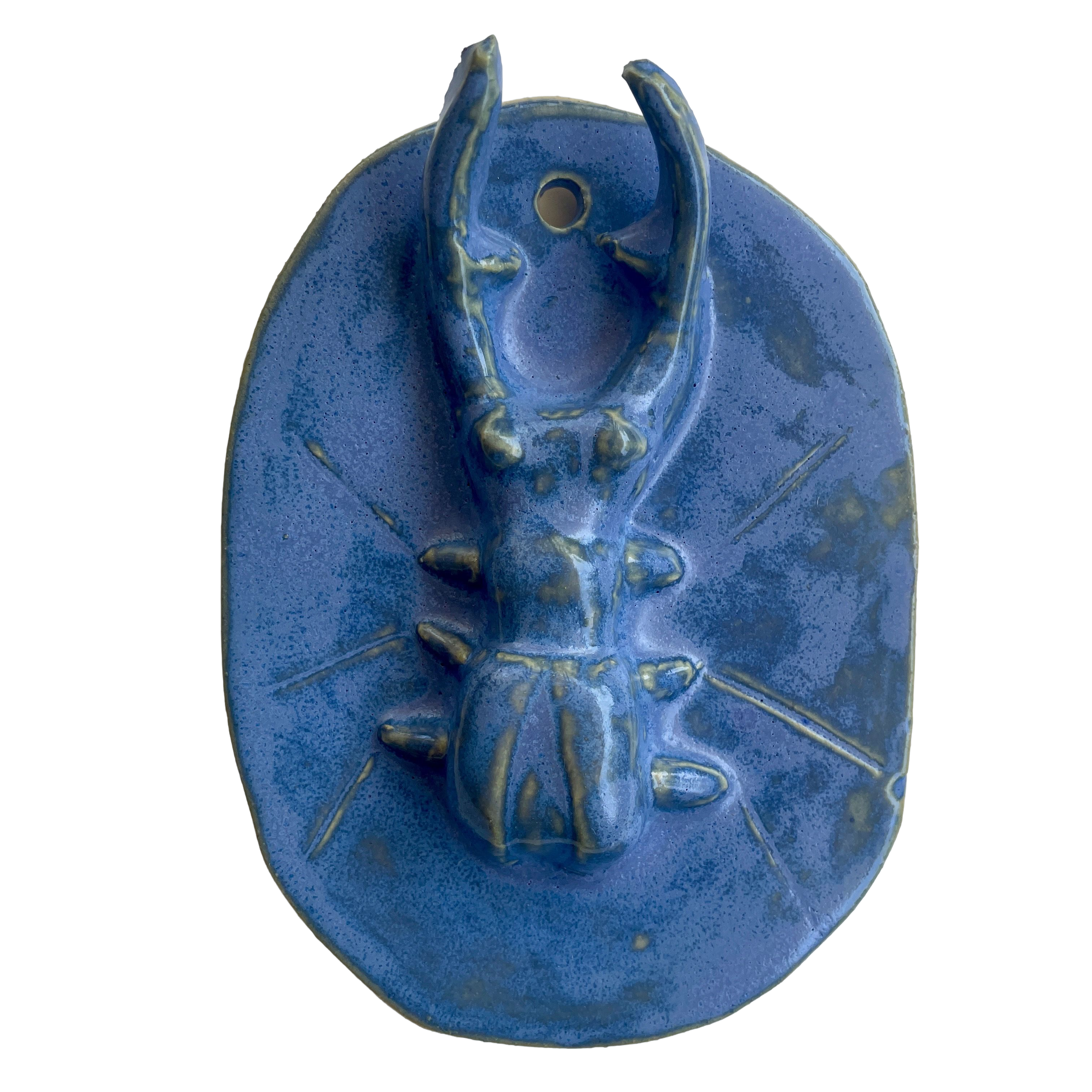 Beetle Wall Hook - Light Blue.png
