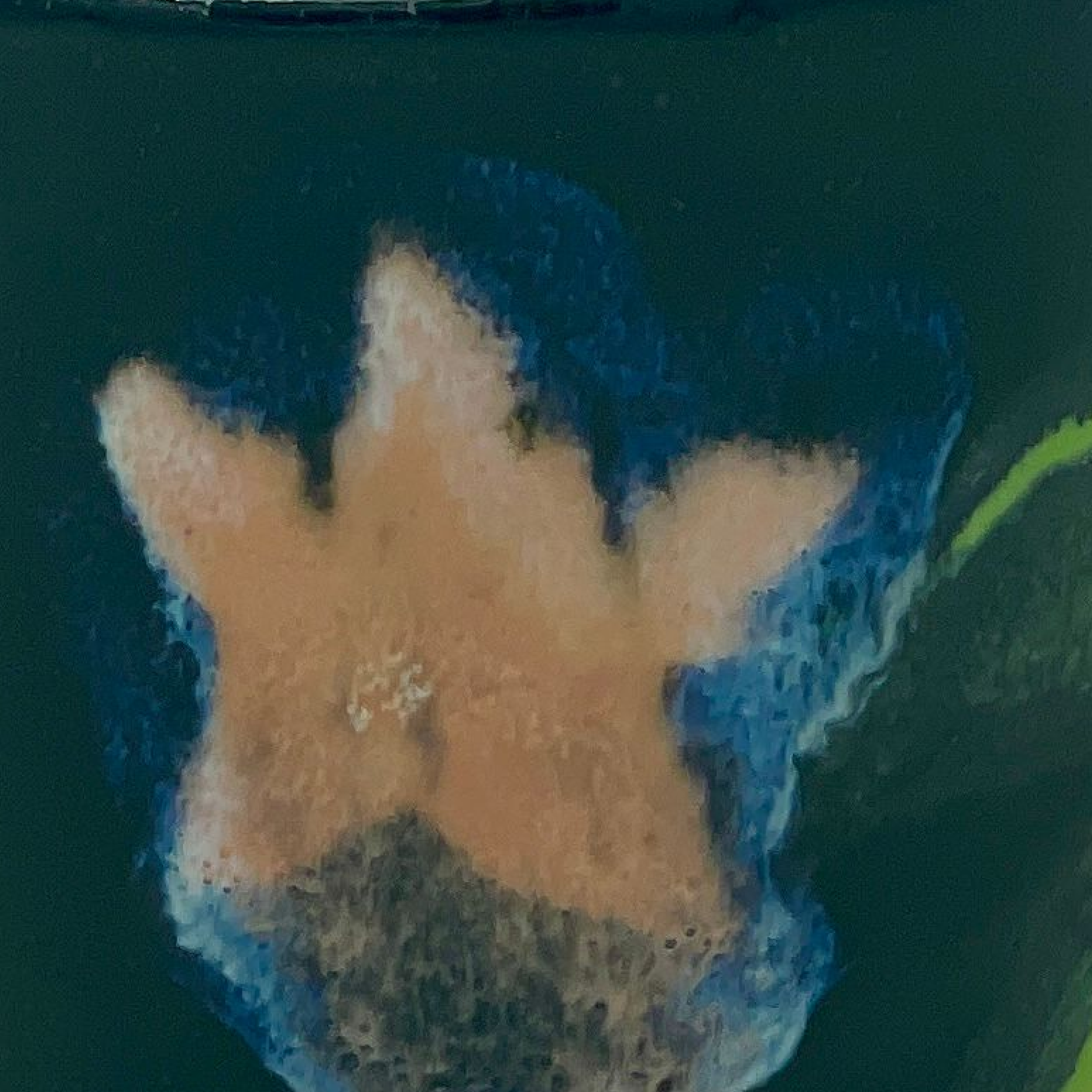 Midnight Vine Cup Detail.png